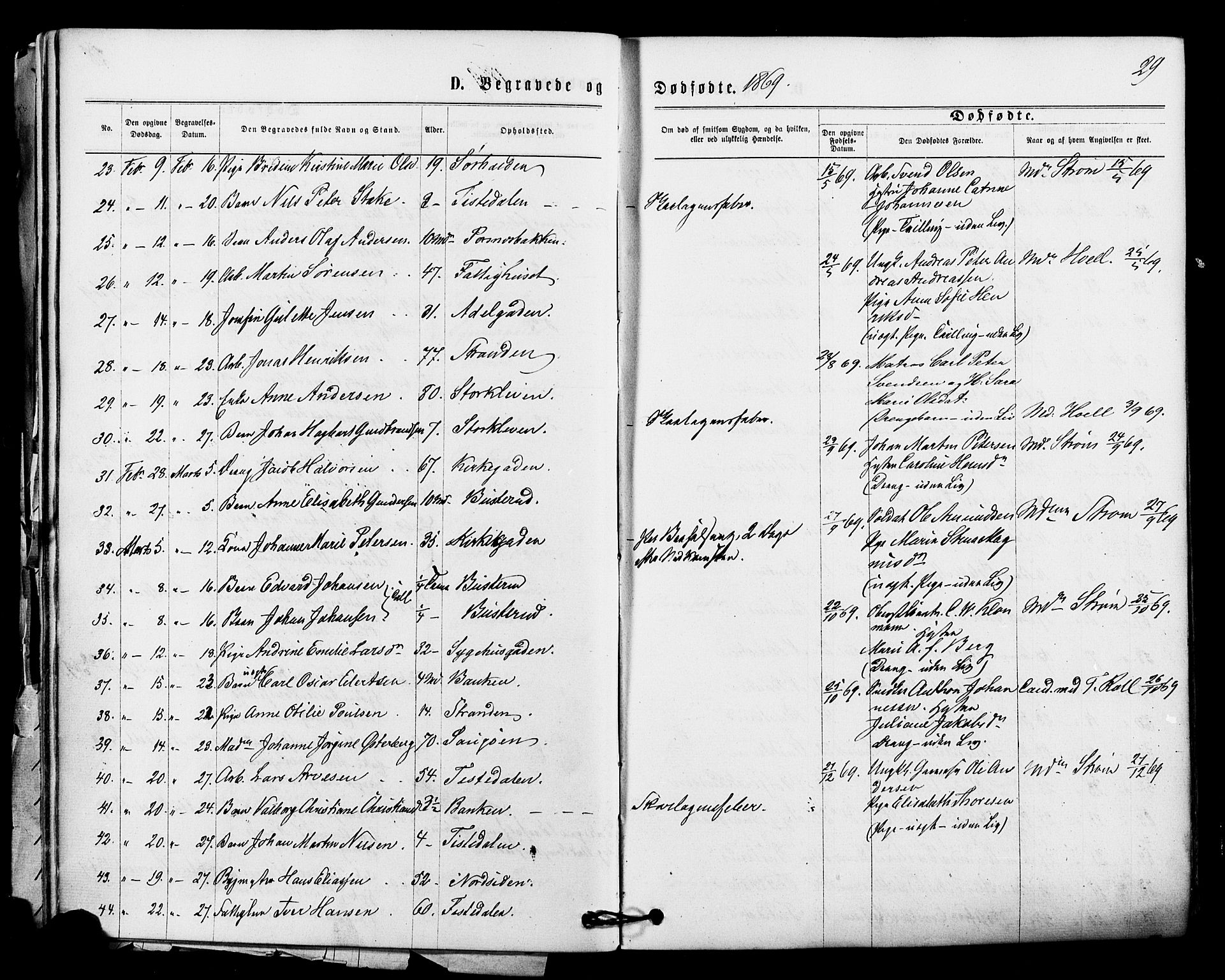 Halden prestekontor Kirkebøker, SAO/A-10909/F/Fa/L0010: Parish register (official) no. I 10, 1866-1877, p. 29