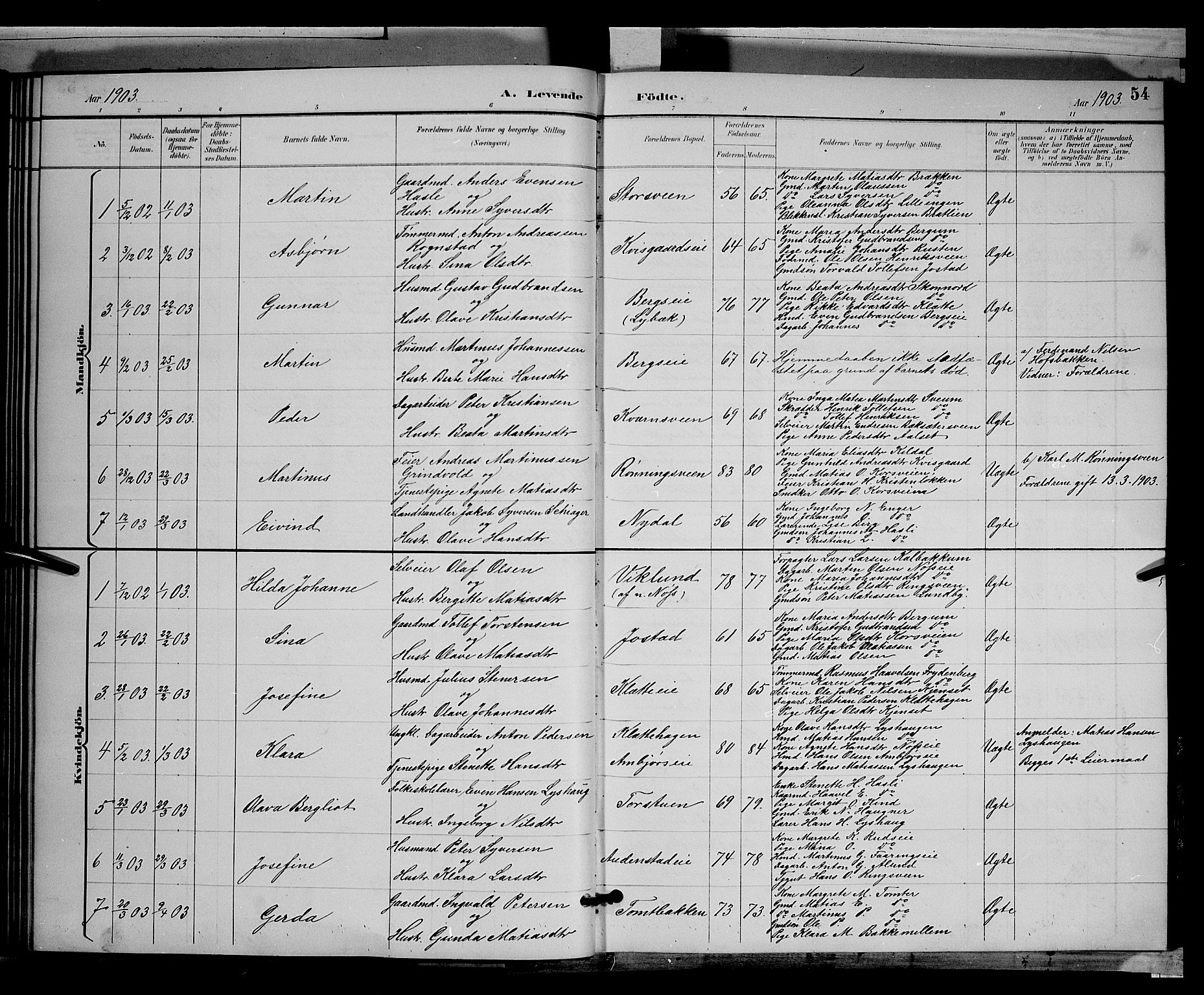 Biri prestekontor, SAH/PREST-096/H/Ha/Hab/L0003: Parish register (copy) no. 3, 1892-1905, p. 54