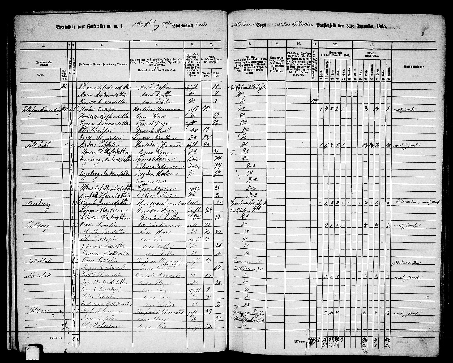 RA, 1865 census for Beitstad, 1865, p. 26