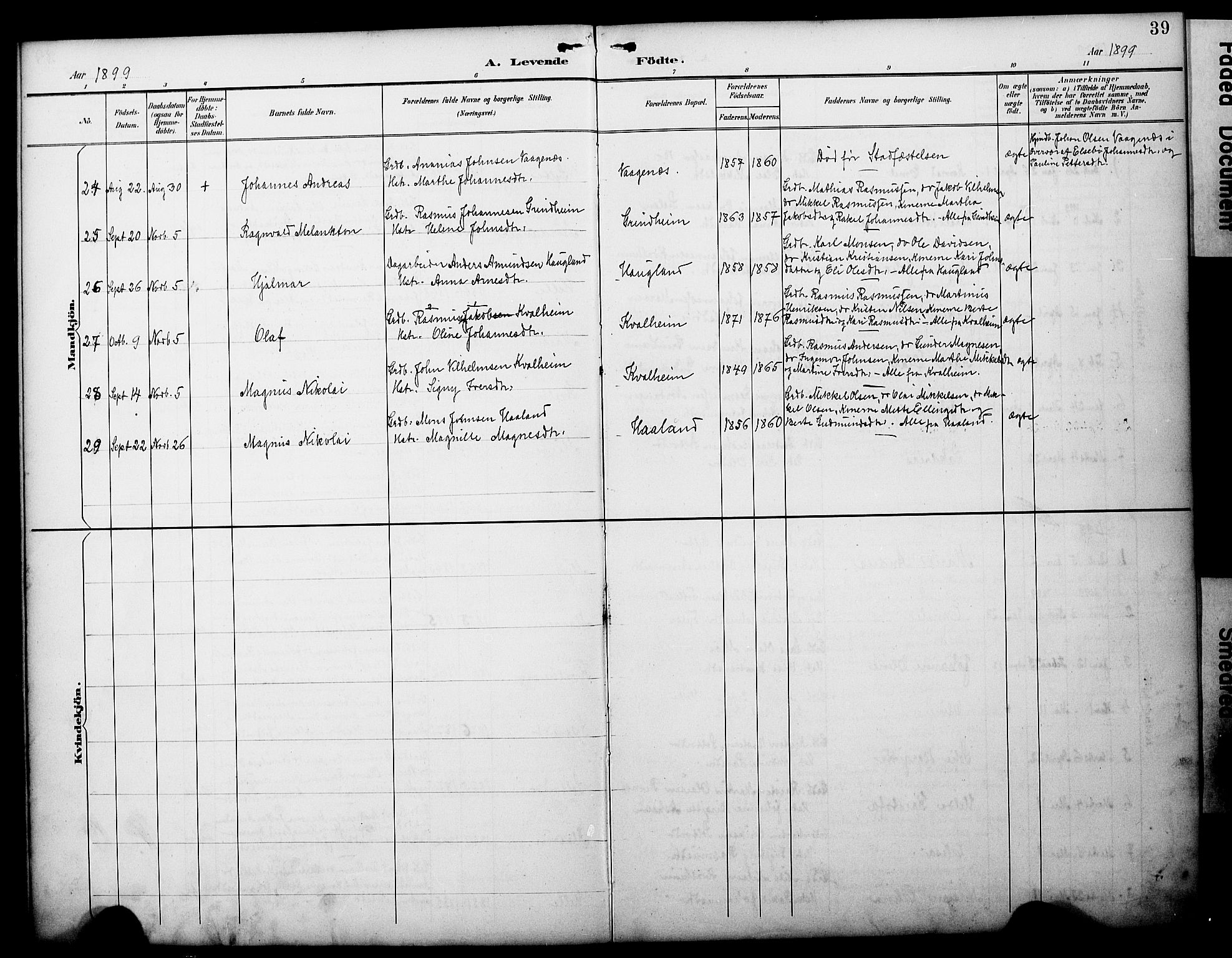 Manger sokneprestembete, AV/SAB-A-76801/H/Haa: Parish register (official) no. C 2, 1891-1902, p. 39