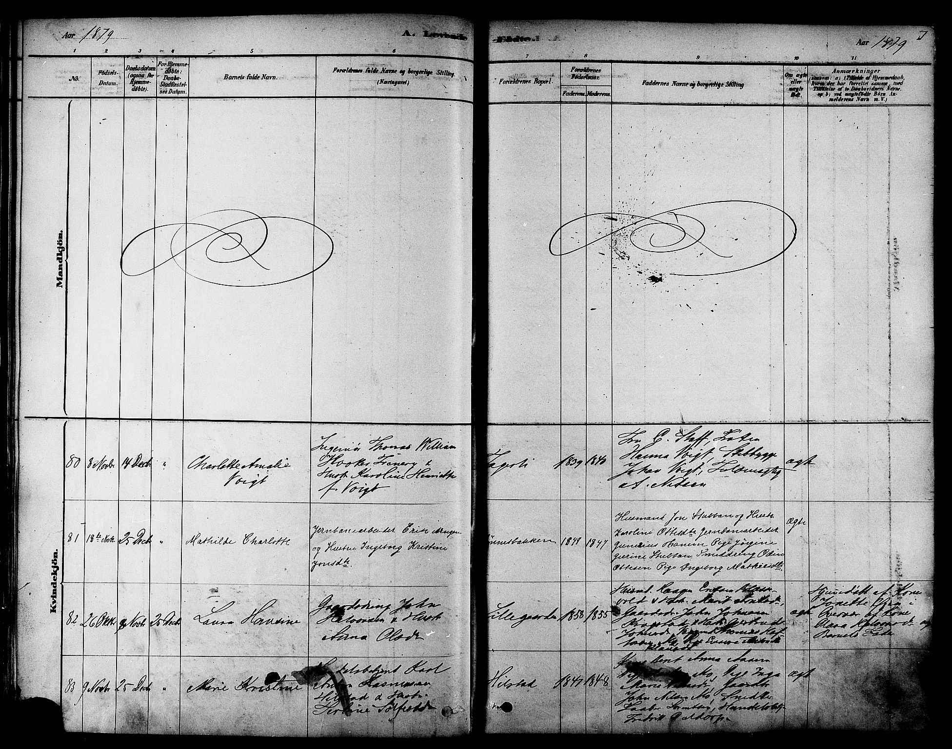 Ministerialprotokoller, klokkerbøker og fødselsregistre - Sør-Trøndelag, SAT/A-1456/606/L0294: Parish register (official) no. 606A09, 1878-1886, p. 51