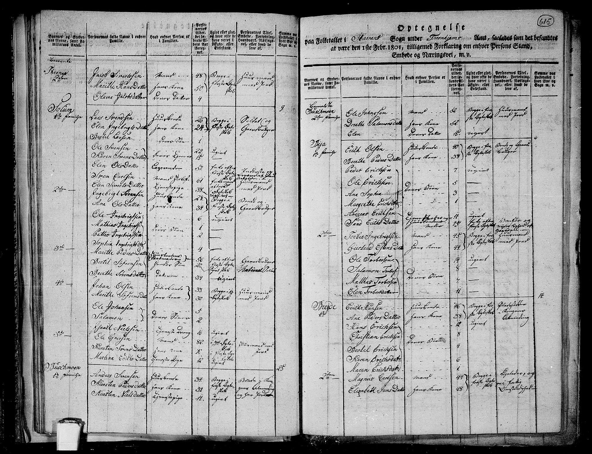 RA, 1801 census for 1744P Overhalla, 1801, p. 614b-615a