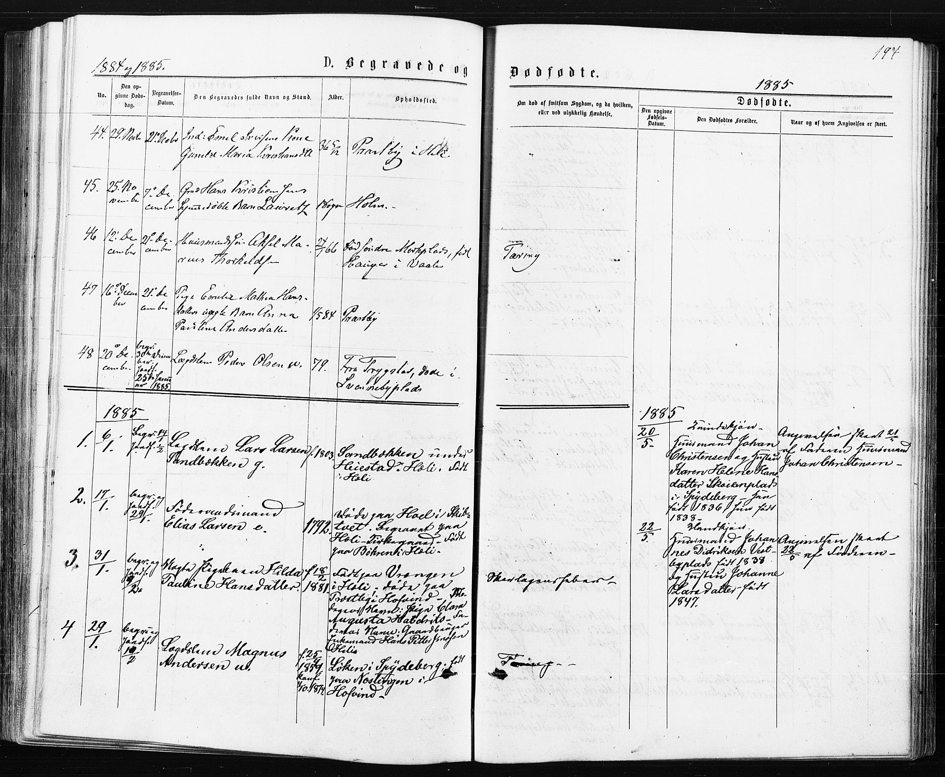 Spydeberg prestekontor Kirkebøker, AV/SAO-A-10924/F/Fa/L0007: Parish register (official) no. I 7, 1875-1885, p. 194