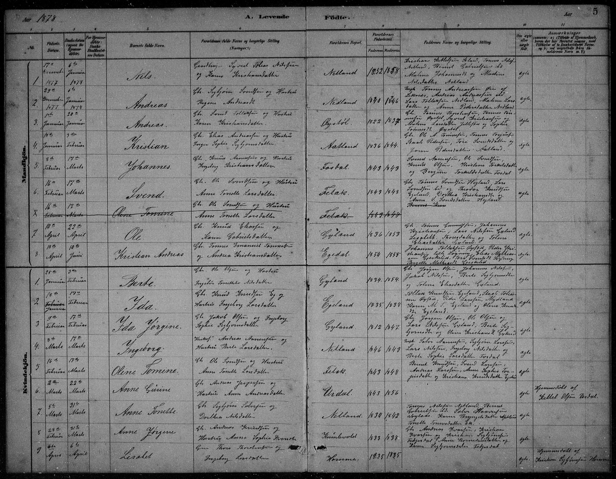 Bakke sokneprestkontor, SAK/1111-0002/F/Fb/Fbb/L0003: Parish register (copy) no. B 3, 1878-1896, p. 5
