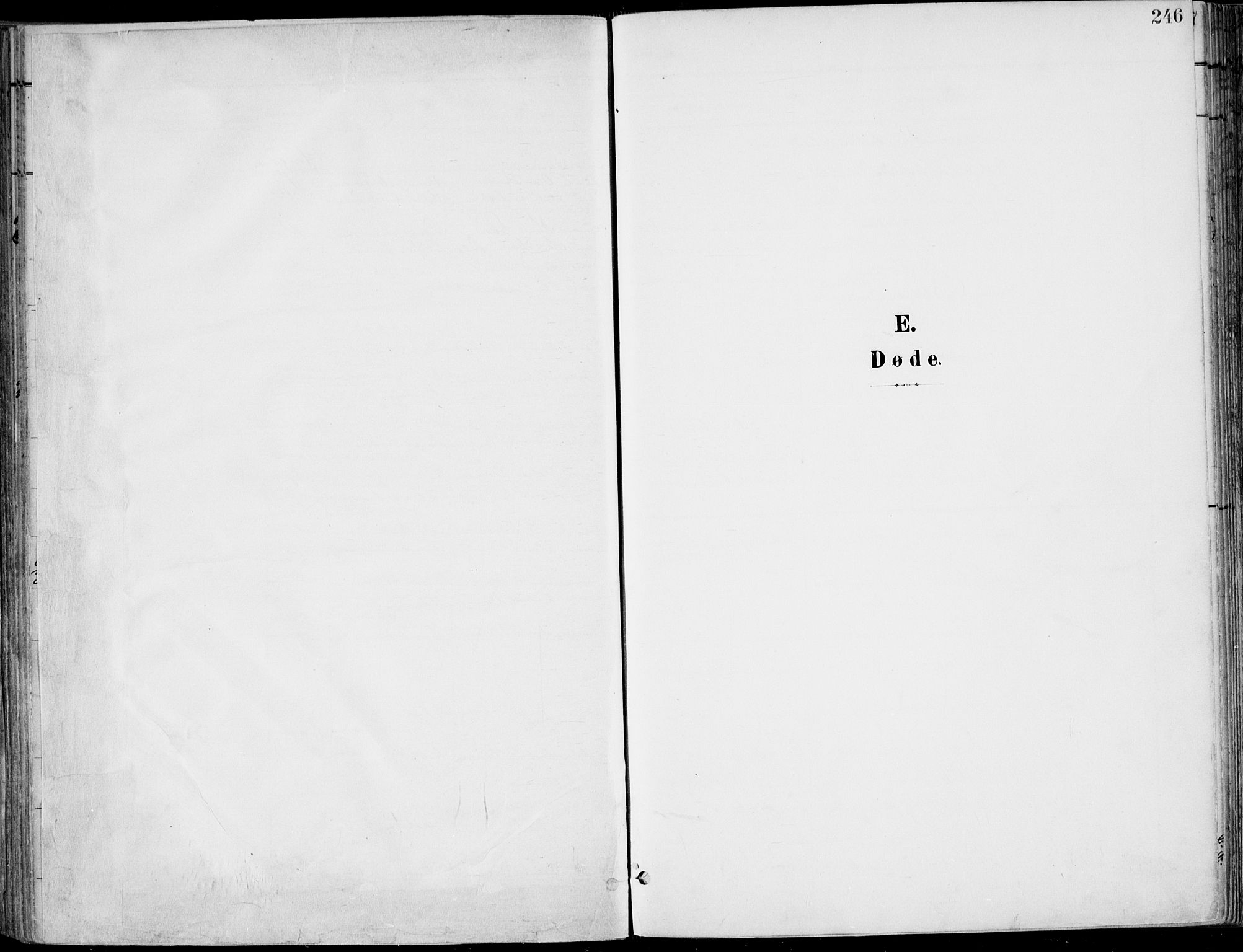 Røyken kirkebøker, SAKO/A-241/F/Fa/L0009: Parish register (official) no. 9, 1898-1911, p. 246