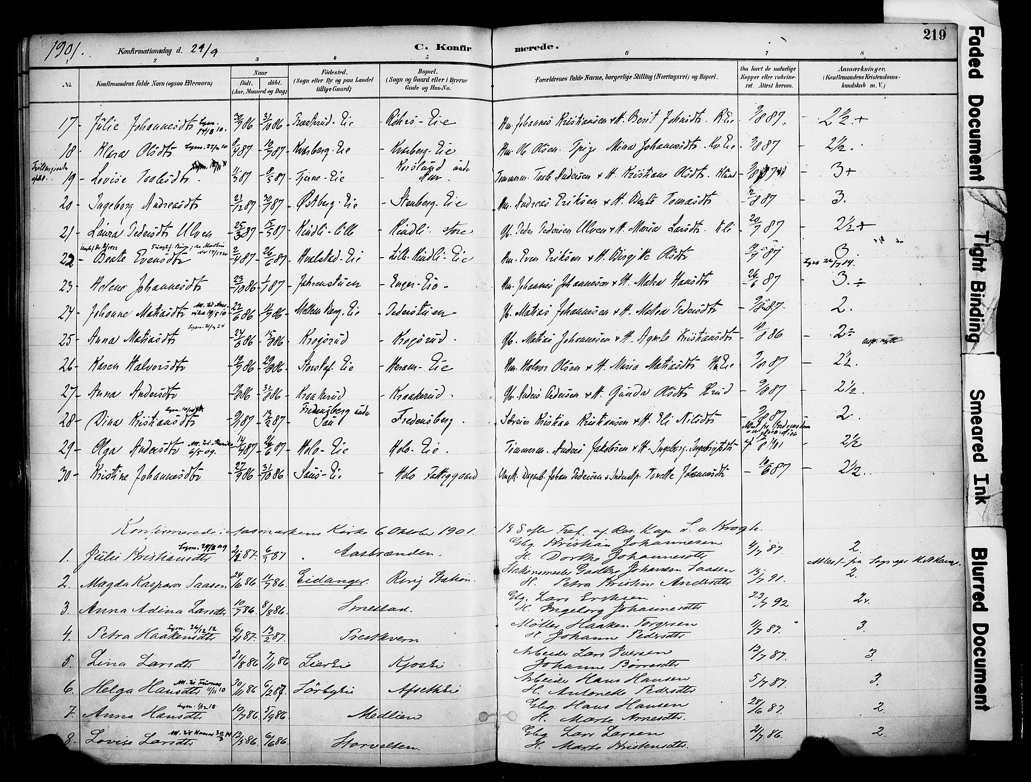 Ringsaker prestekontor, AV/SAH-PREST-014/K/Ka/L0017: Parish register (official) no. 17, 1891-1902, p. 219