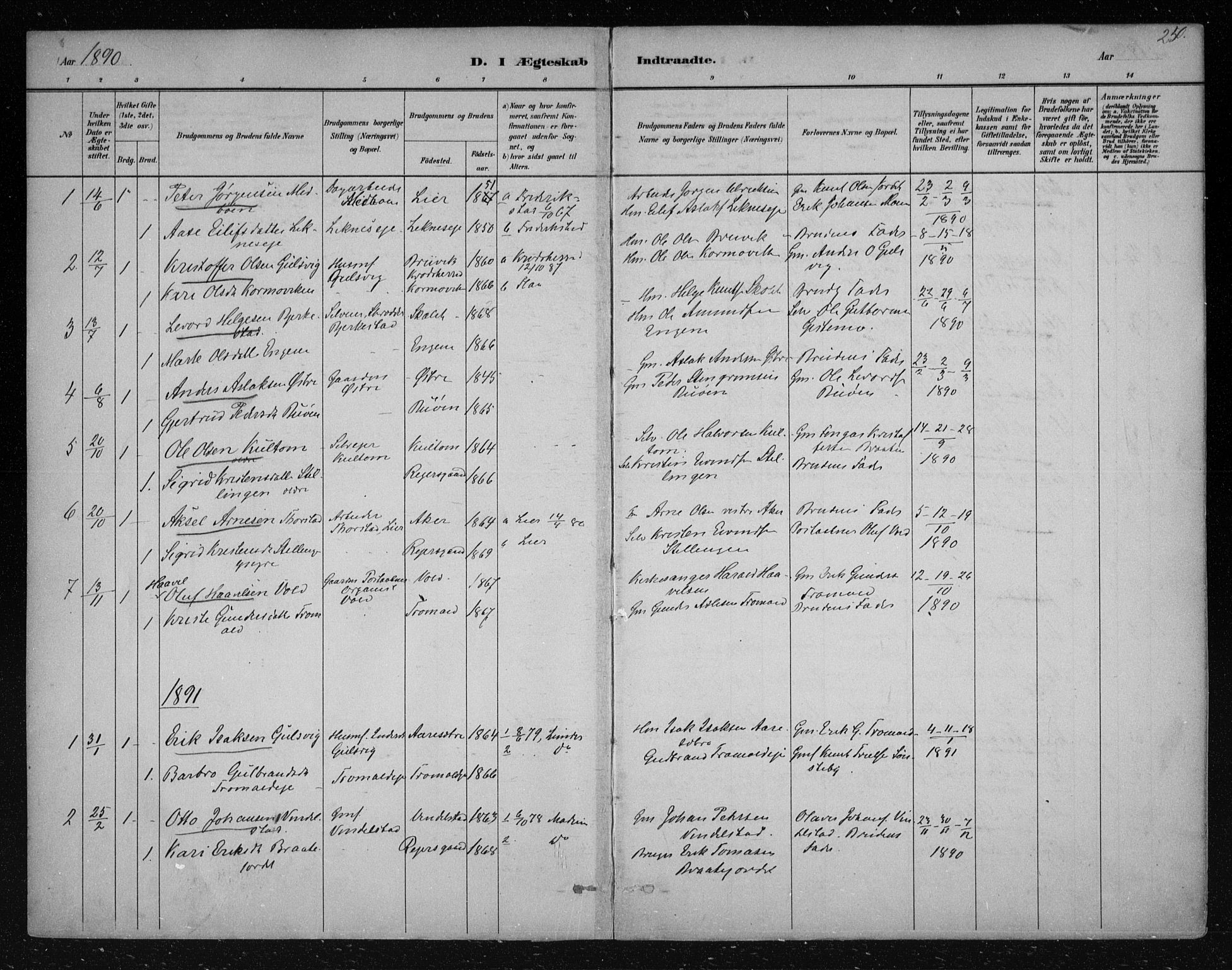 Nes kirkebøker, AV/SAKO-A-236/F/Fa/L0012: Parish register (official) no. 12, 1881-1917, p. 250