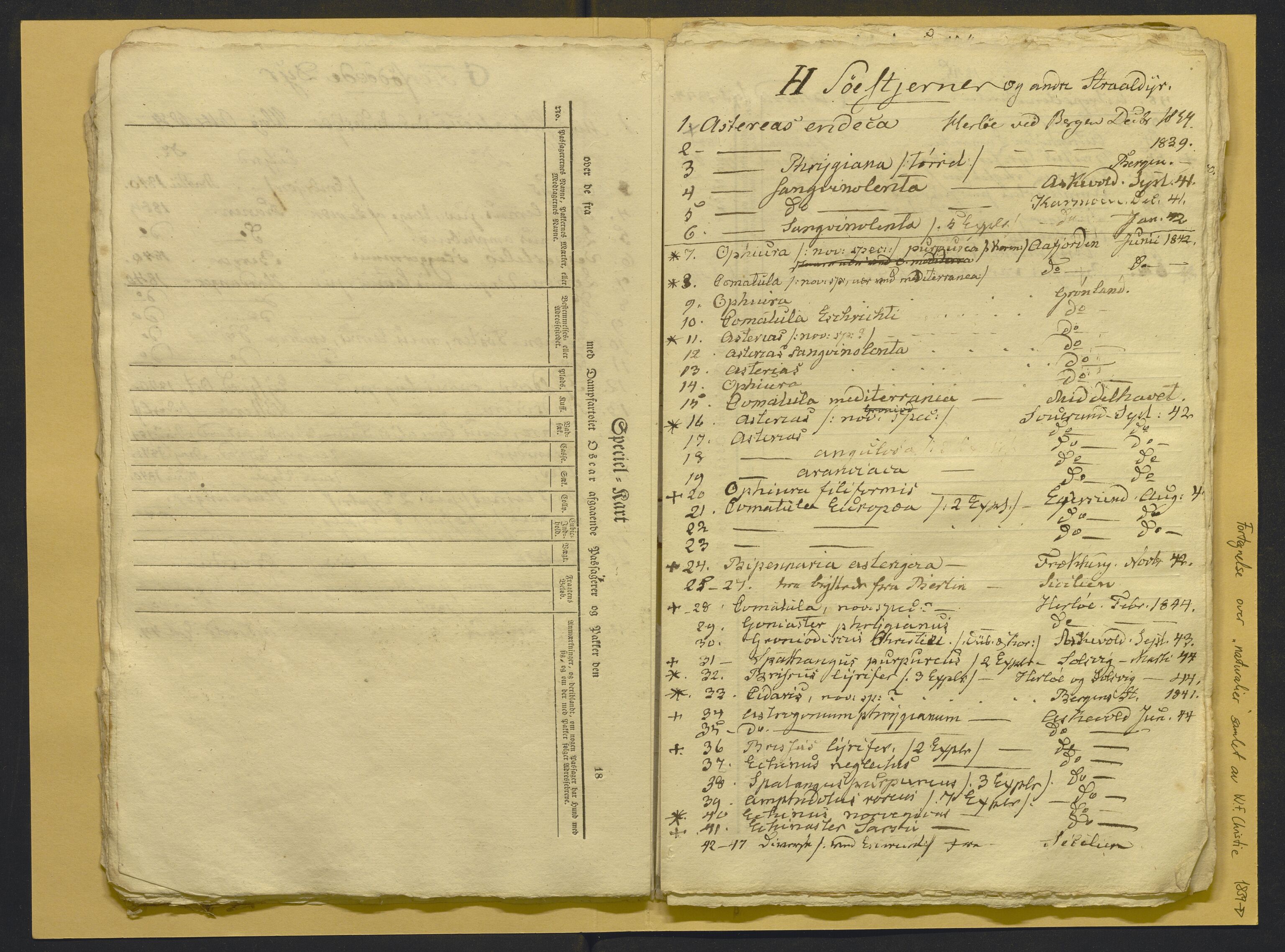 Bergens Museum, AV/SAB-A-17301/02/F/L0001: Kataloger over gjenstander og pergamentbrev , 1825-1880, p. 543