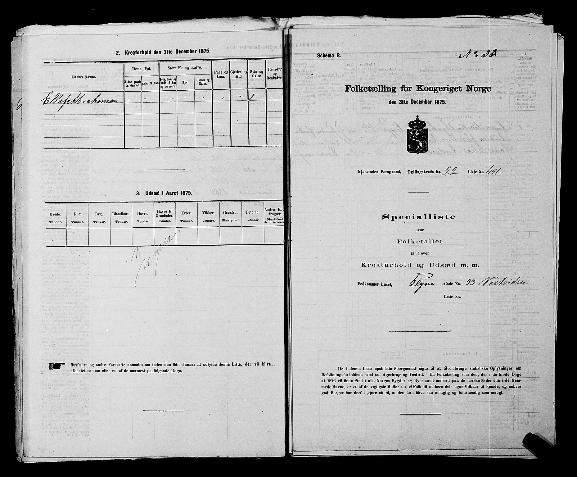 SAKO, 1875 census for 0805P Porsgrunn, 1875, p. 1011