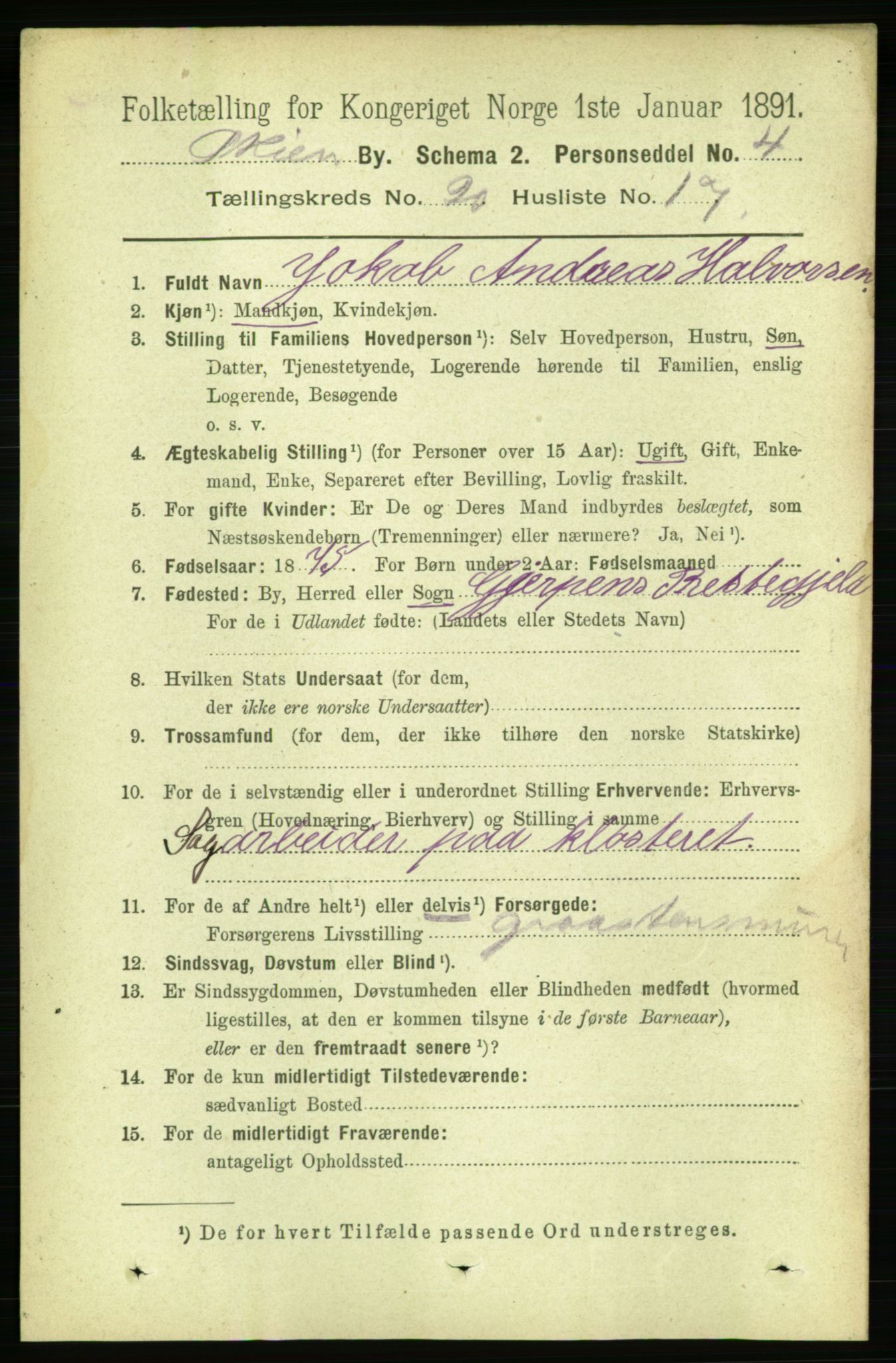 RA, 1891 census for 0806 Skien, 1891, p. 5307