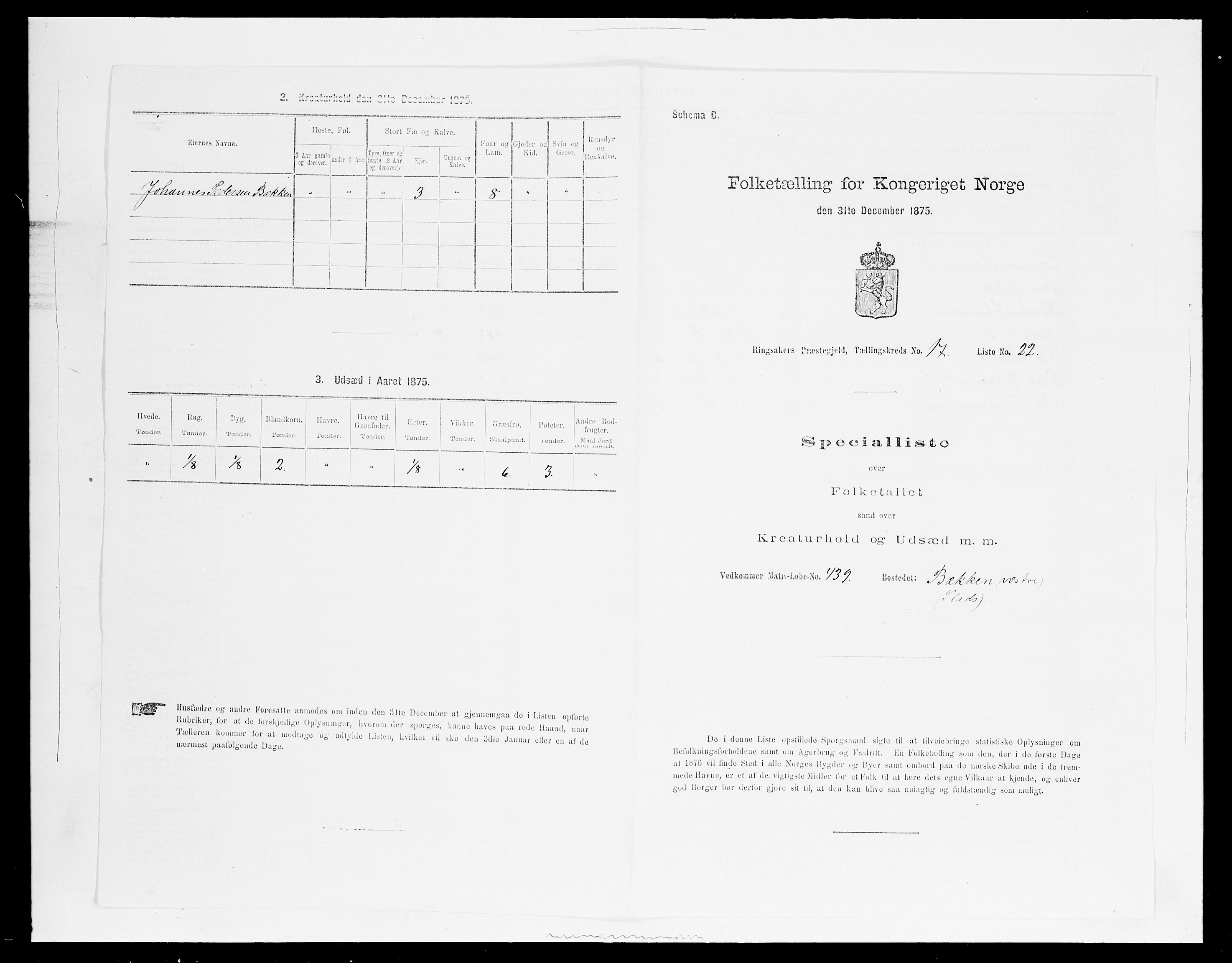 SAH, 1875 census for 0412P Ringsaker, 1875, p. 3435