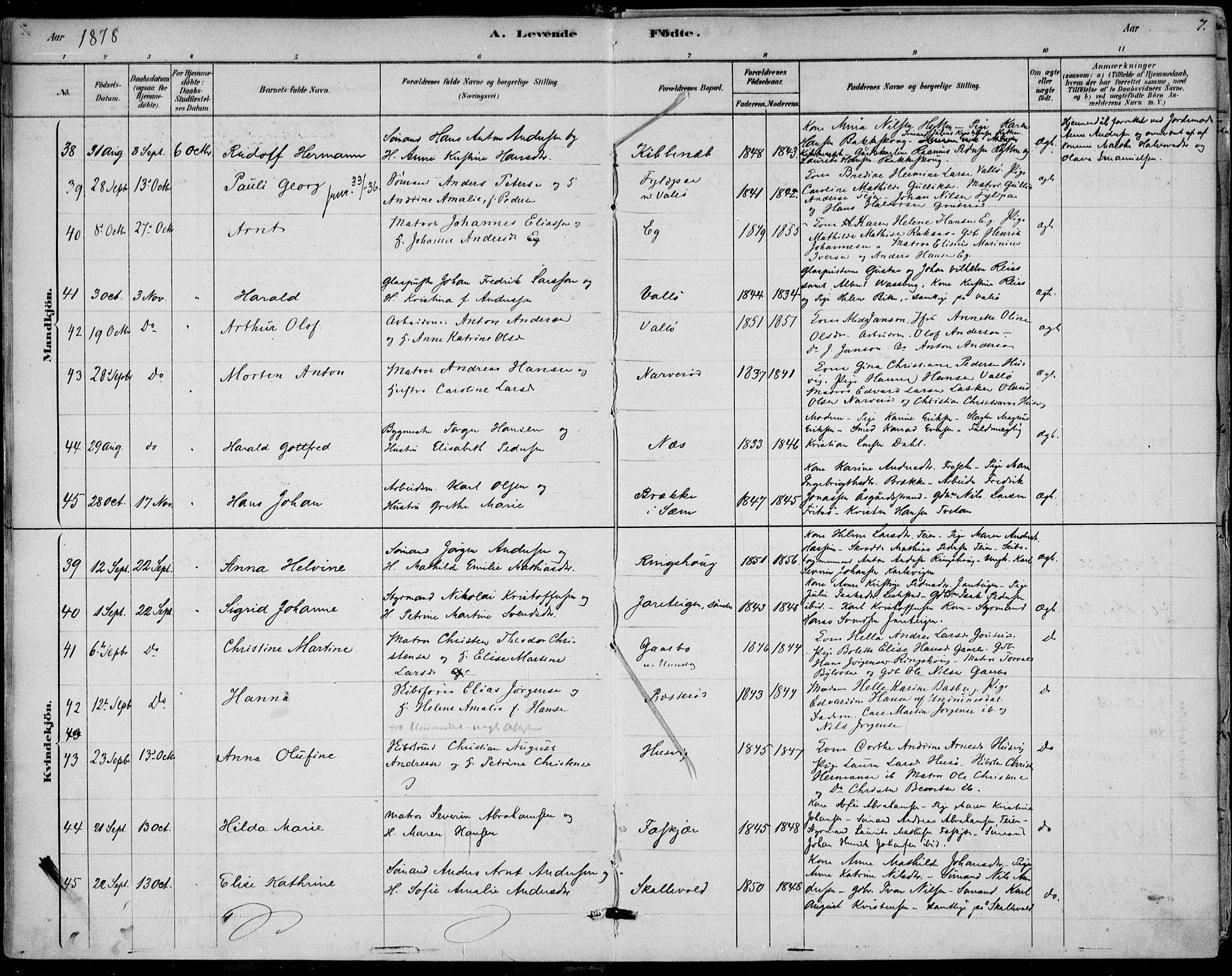 Sem kirkebøker, AV/SAKO-A-5/F/Fb/L0004: Parish register (official) no. II 4, 1878-1891, p. 7