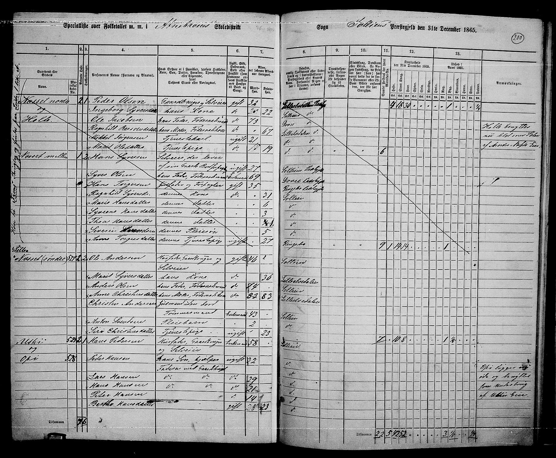 RA, 1865 census for Sollia, 1865, p. 8