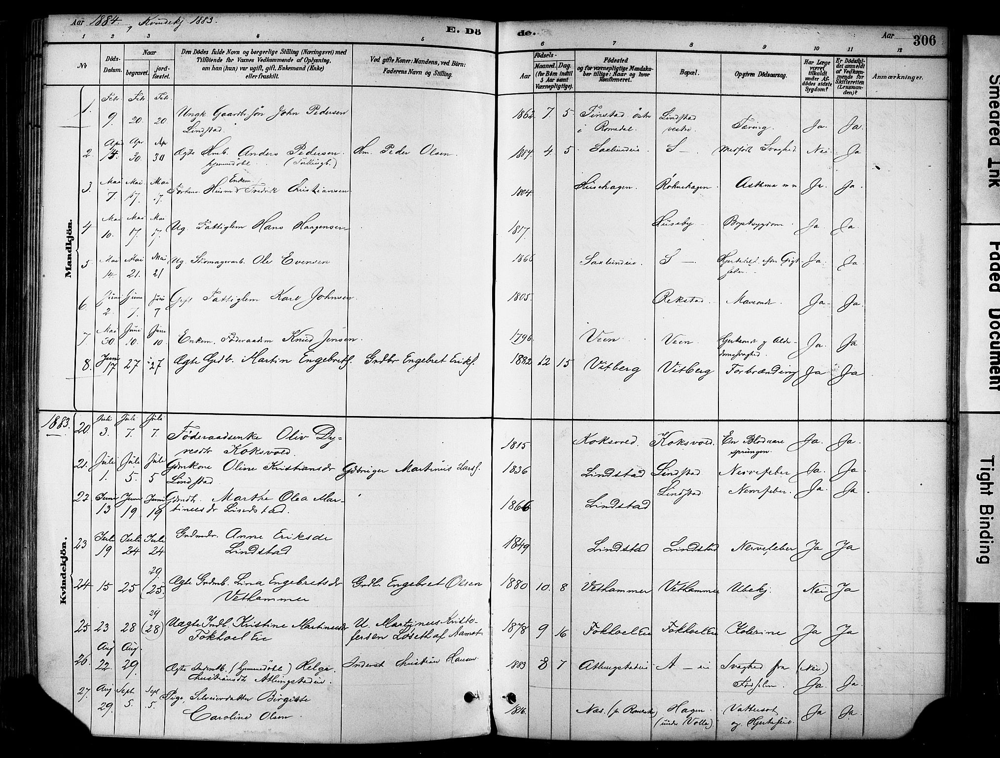 Stange prestekontor, SAH/PREST-002/K/L0017: Parish register (official) no. 17, 1880-1893, p. 306