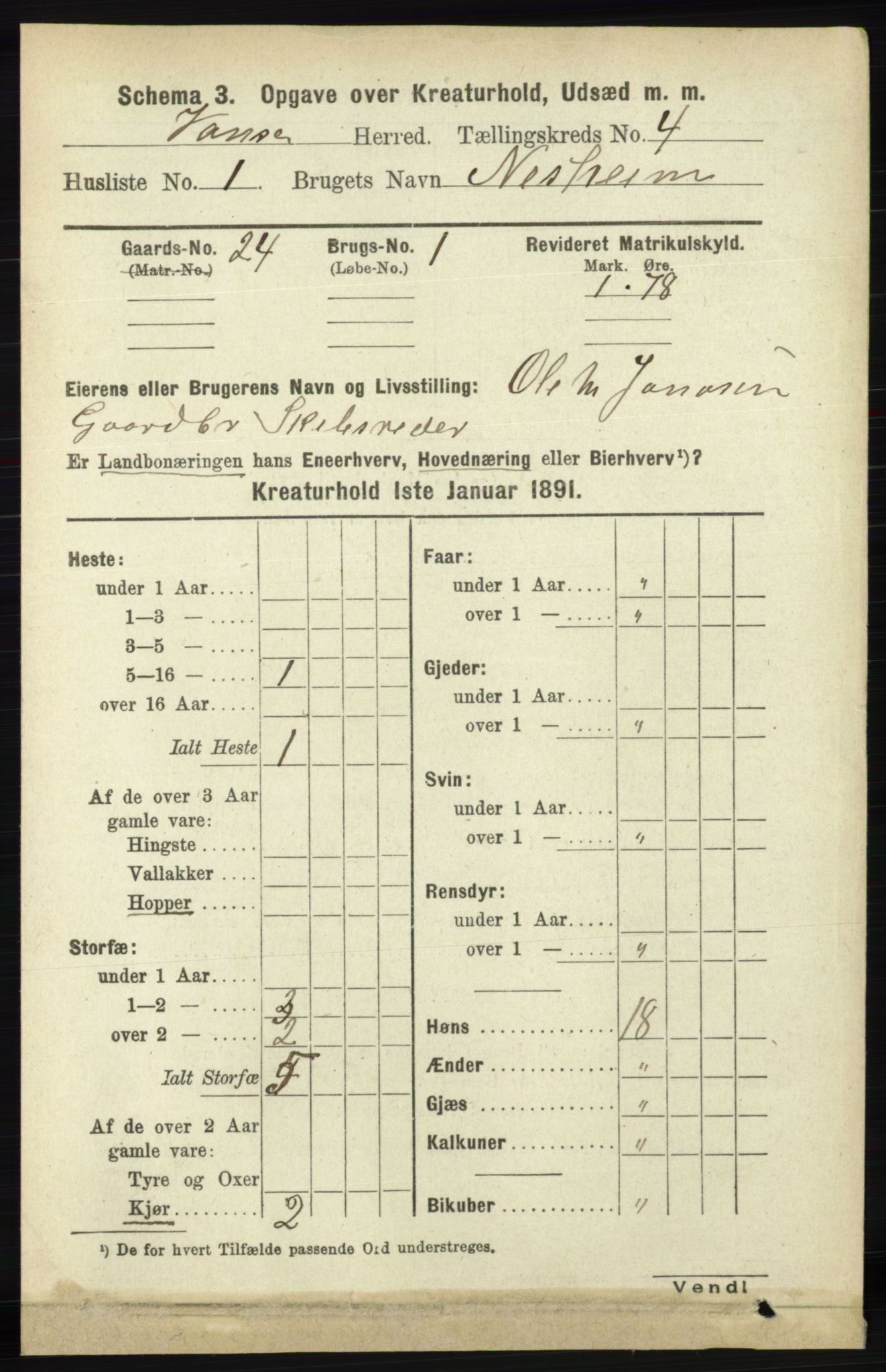 RA, 1891 census for 1041 Vanse, 1891, p. 8529