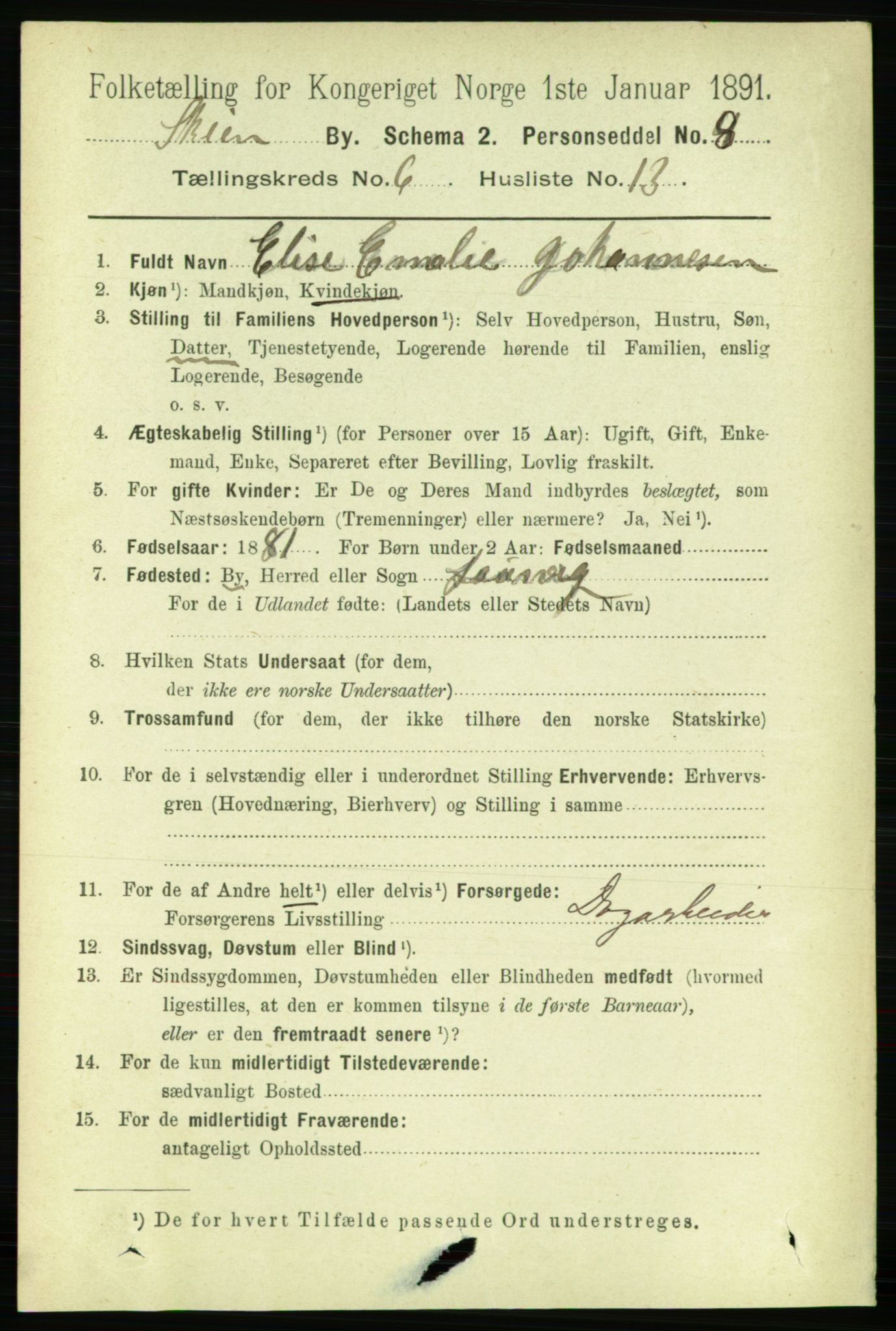 RA, 1891 census for 0806 Skien, 1891, p. 3130