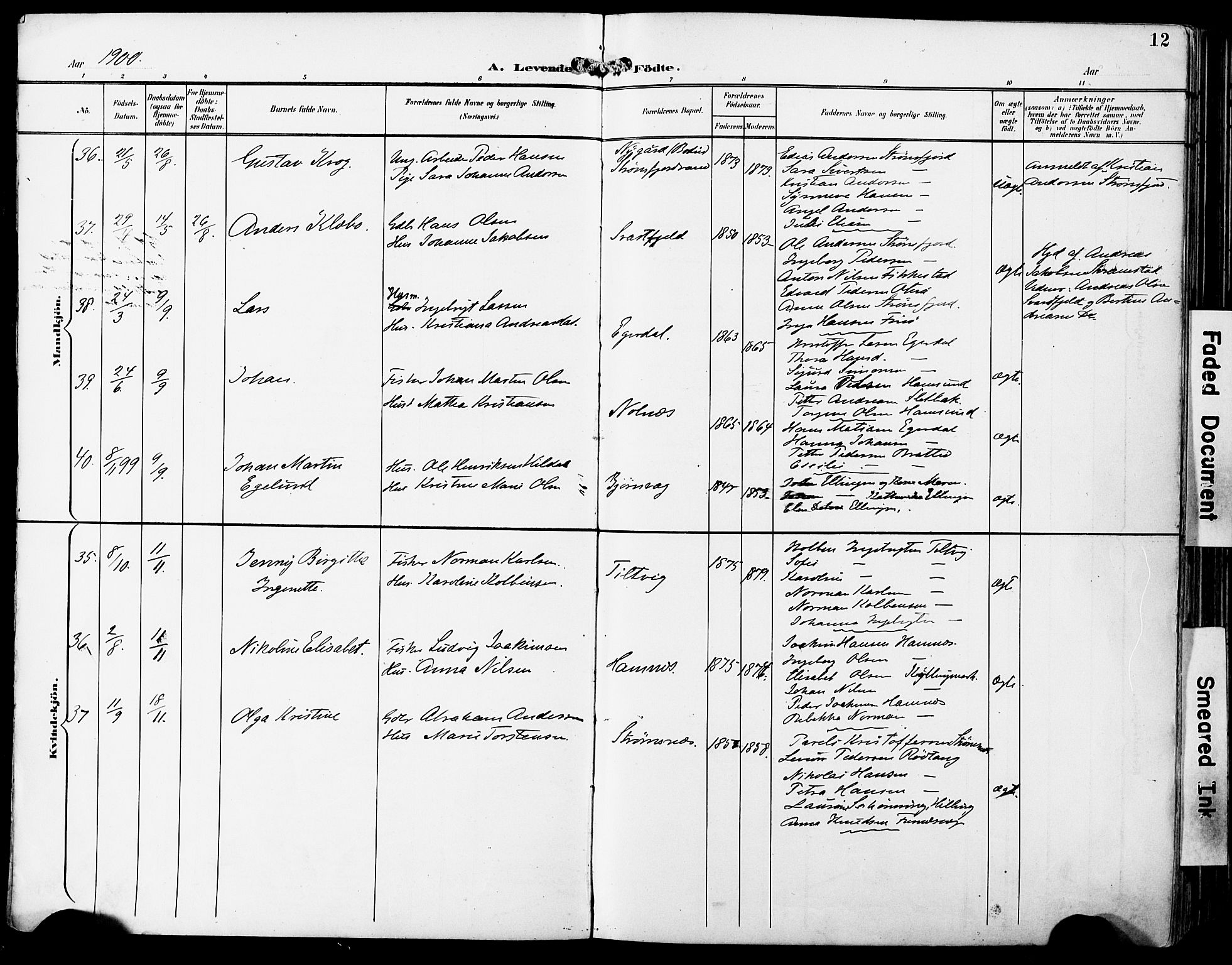 Ministerialprotokoller, klokkerbøker og fødselsregistre - Nordland, AV/SAT-A-1459/859/L0848: Parish register (official) no. 859A08, 1900-1912, p. 12