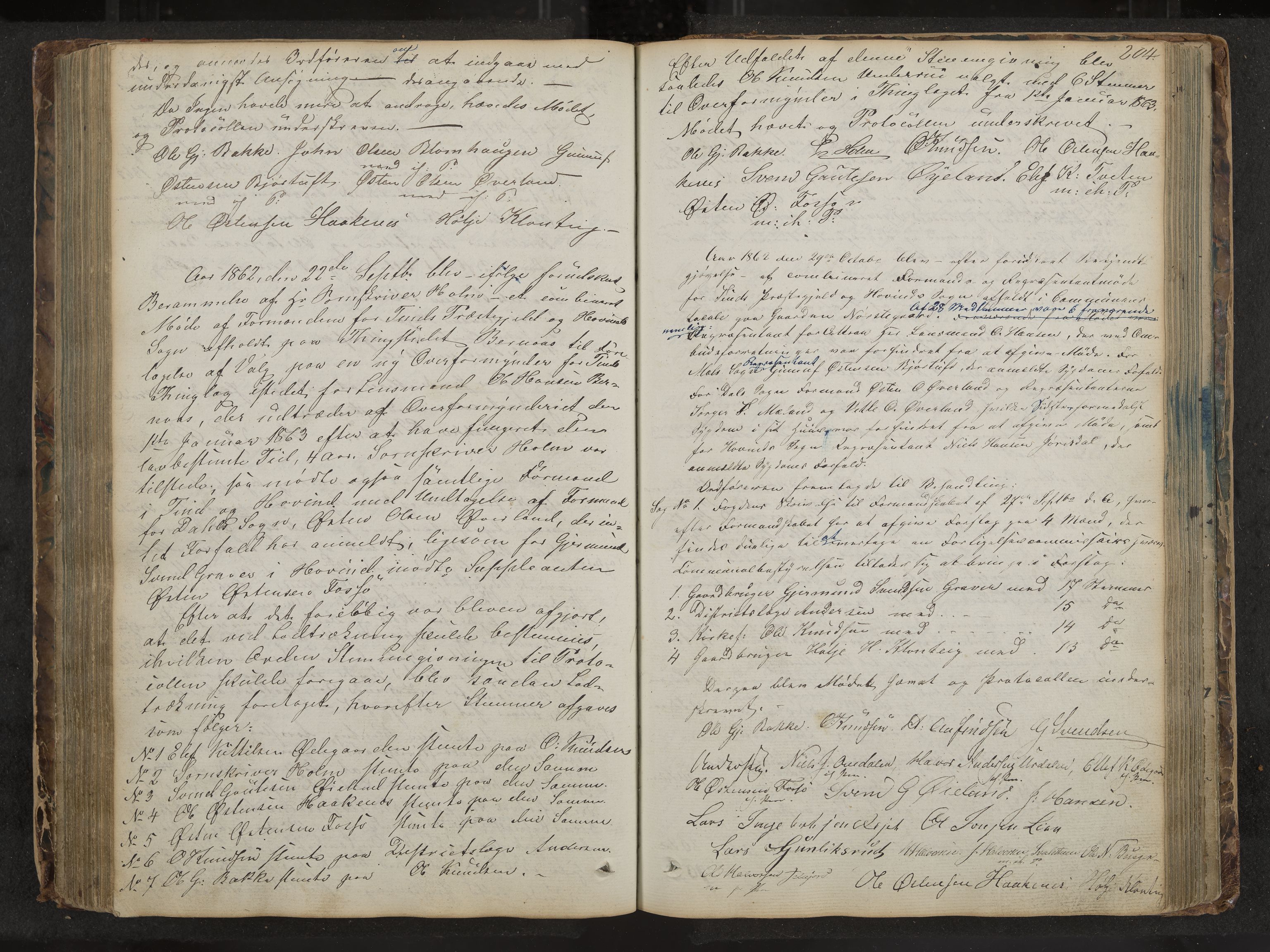 Tinn formannskap og sentraladministrasjon, IKAK/0826021-1/A/Aa/L0001: Møtebok, 1838-1882, p. 204