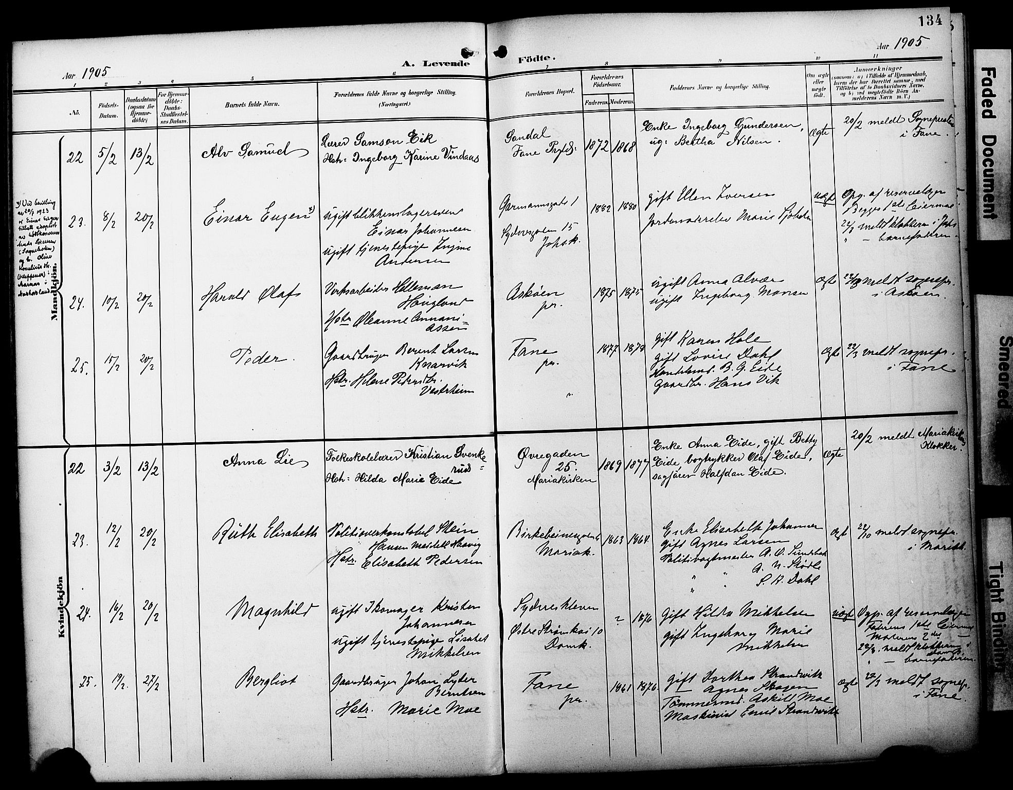 Fødselsstiftelsens sokneprestembete*, SAB/-: Parish register (official) no. A 3, 1901-1910, p. 134