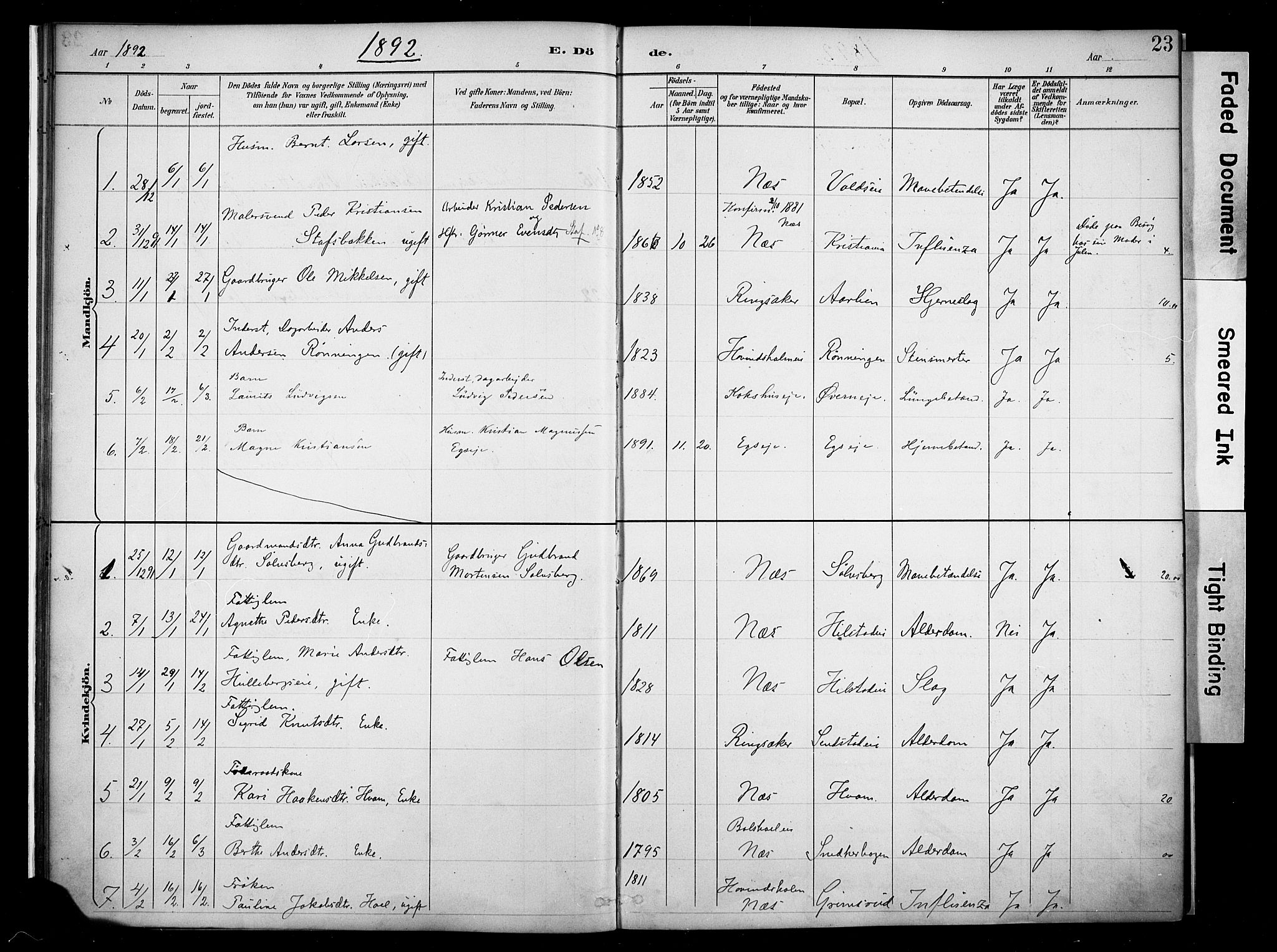 Nes prestekontor, Hedmark, AV/SAH-PREST-020/K/Ka/L0011: Parish register (official) no. 11, 1887-1905, p. 23