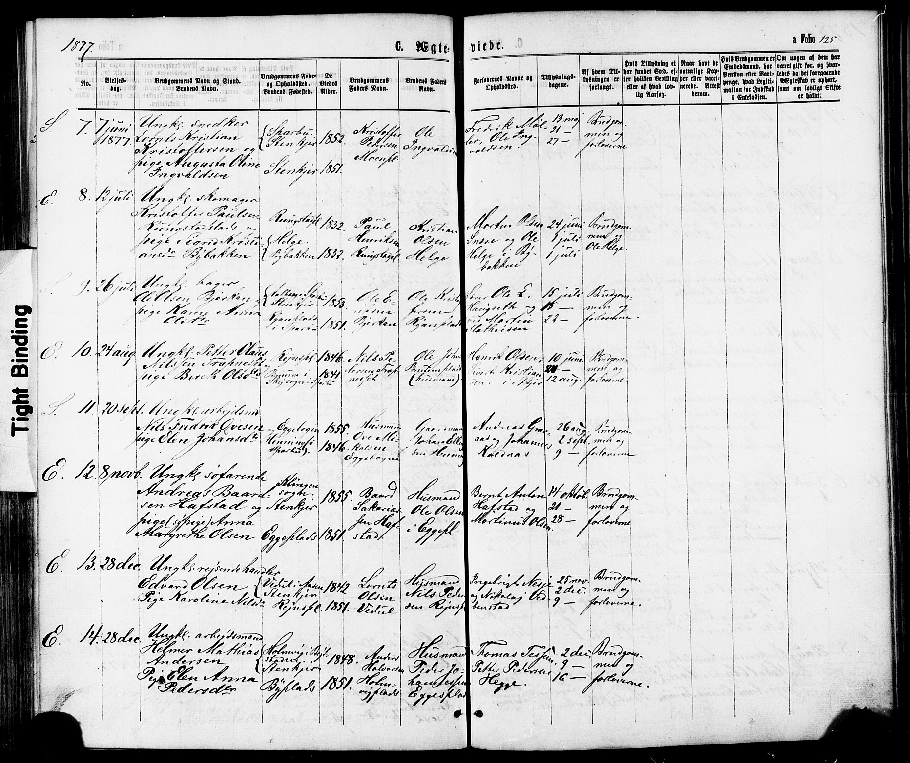 Ministerialprotokoller, klokkerbøker og fødselsregistre - Nord-Trøndelag, AV/SAT-A-1458/739/L0370: Parish register (official) no. 739A02, 1868-1881, p. 125