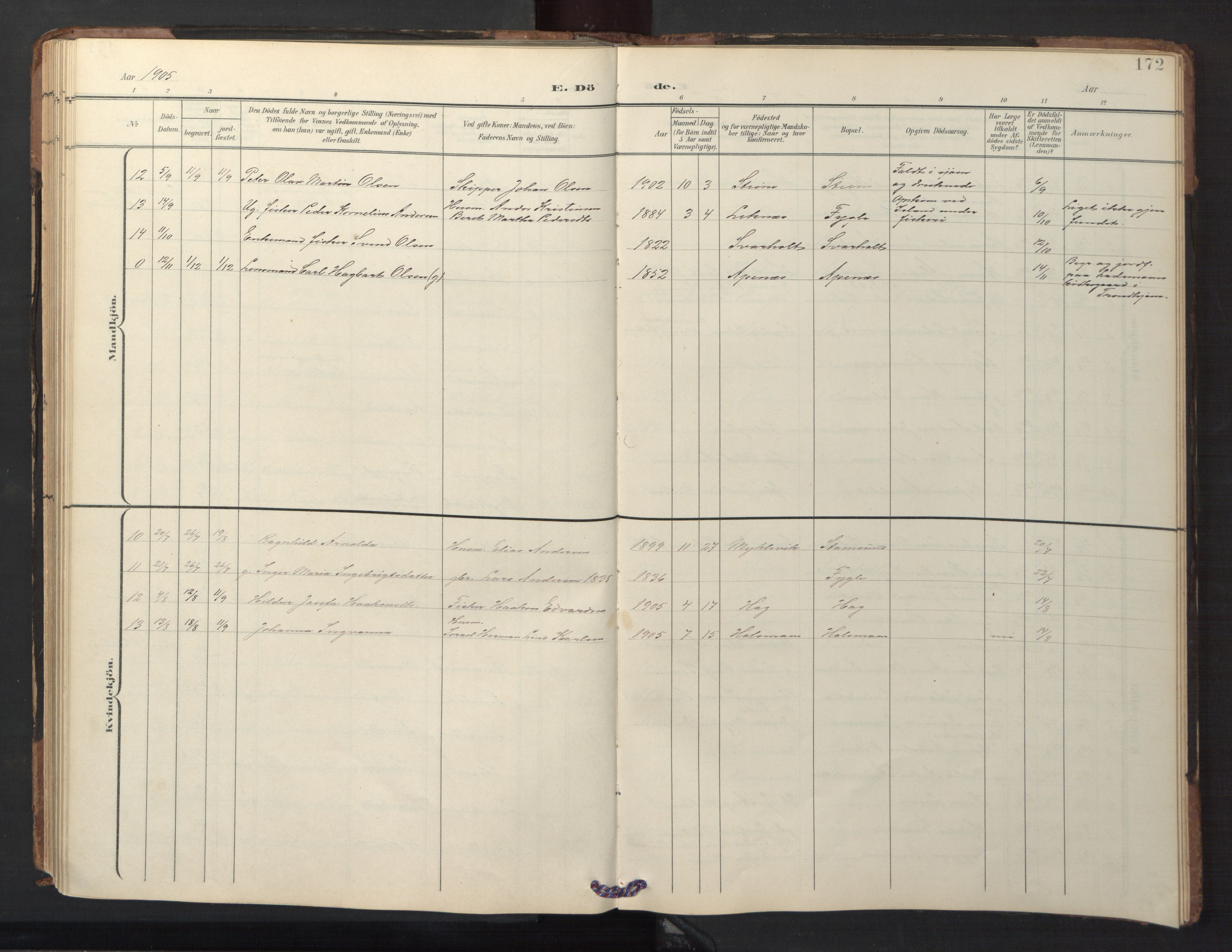 Ministerialprotokoller, klokkerbøker og fødselsregistre - Nordland, AV/SAT-A-1459/882/L1185: Parish register (copy) no. 882C03, 1898-1910, p. 172