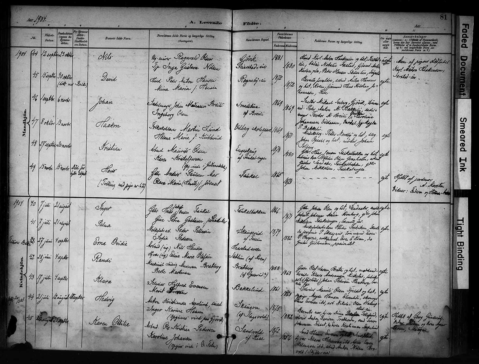 Østre Toten prestekontor, AV/SAH-PREST-104/H/Ha/Haa/L0008: Parish register (official) no. 8, 1897-1909, p. 81