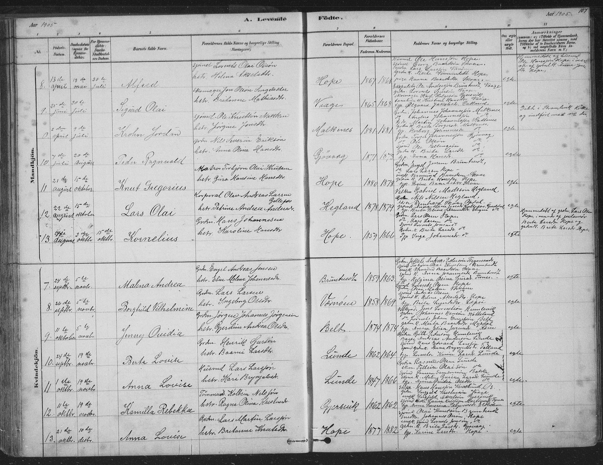 Tysnes sokneprestembete, AV/SAB-A-78601/H/Hab: Parish register (copy) no. B 2, 1878-1918, p. 107