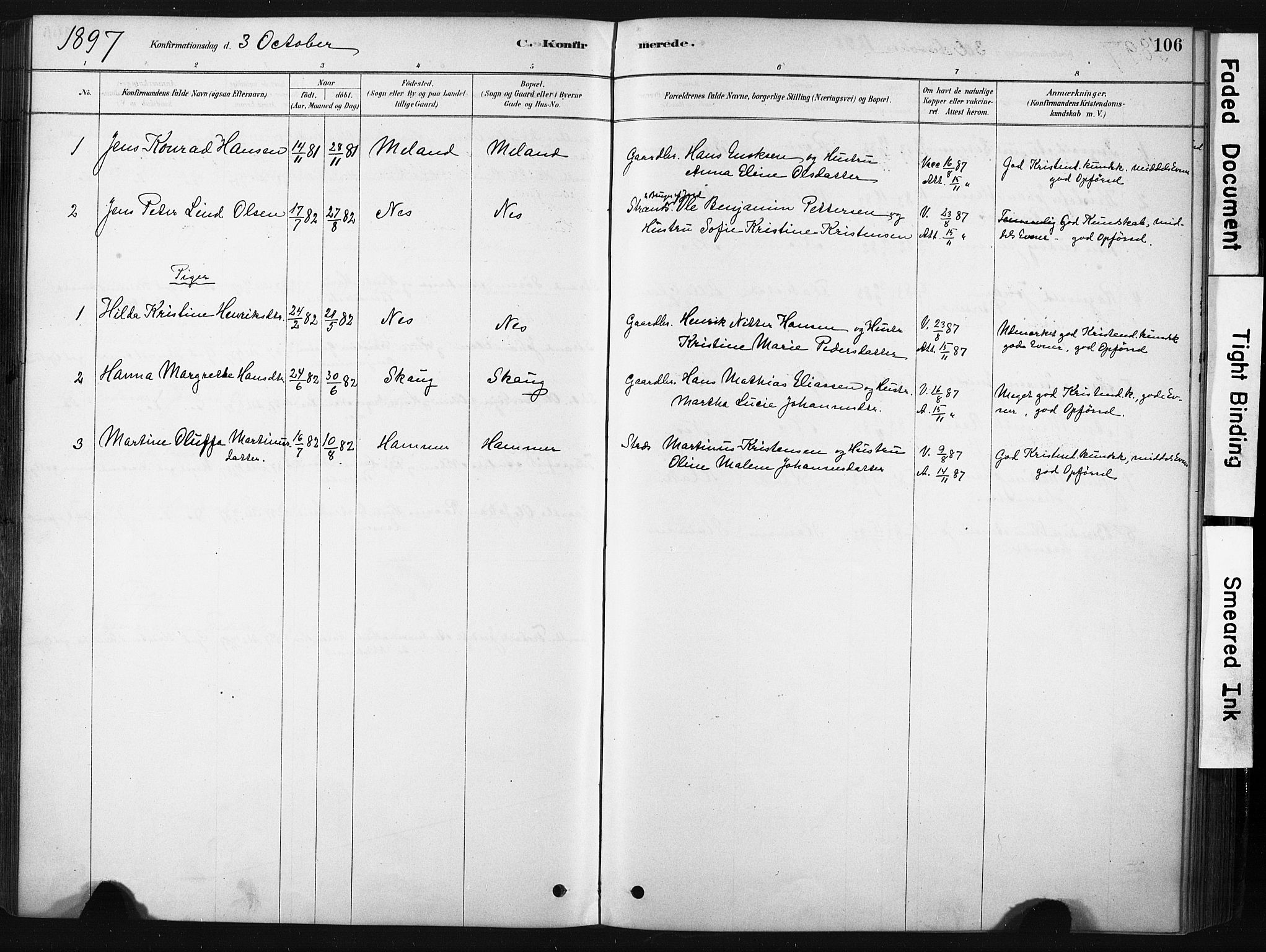 Ministerialprotokoller, klokkerbøker og fødselsregistre - Nordland, AV/SAT-A-1459/808/L0128: Parish register (official) no. 808A01, 1880-1902, p. 106