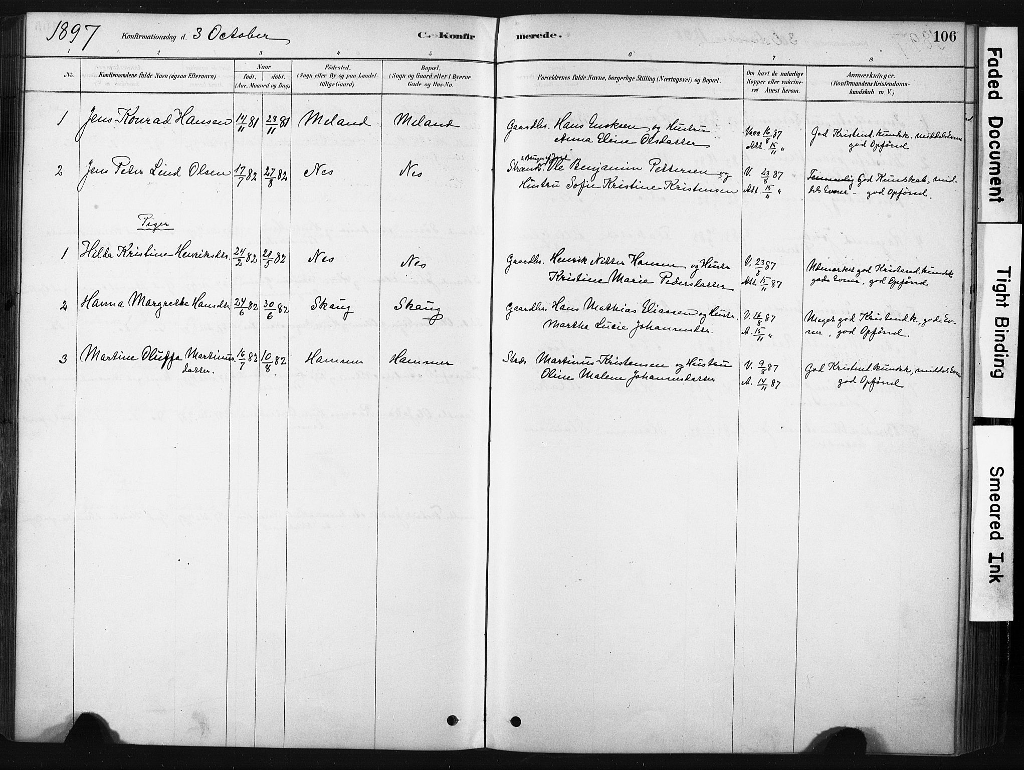 Ministerialprotokoller, klokkerbøker og fødselsregistre - Nordland, SAT/A-1459/808/L0128: Parish register (official) no. 808A01, 1880-1902, p. 106