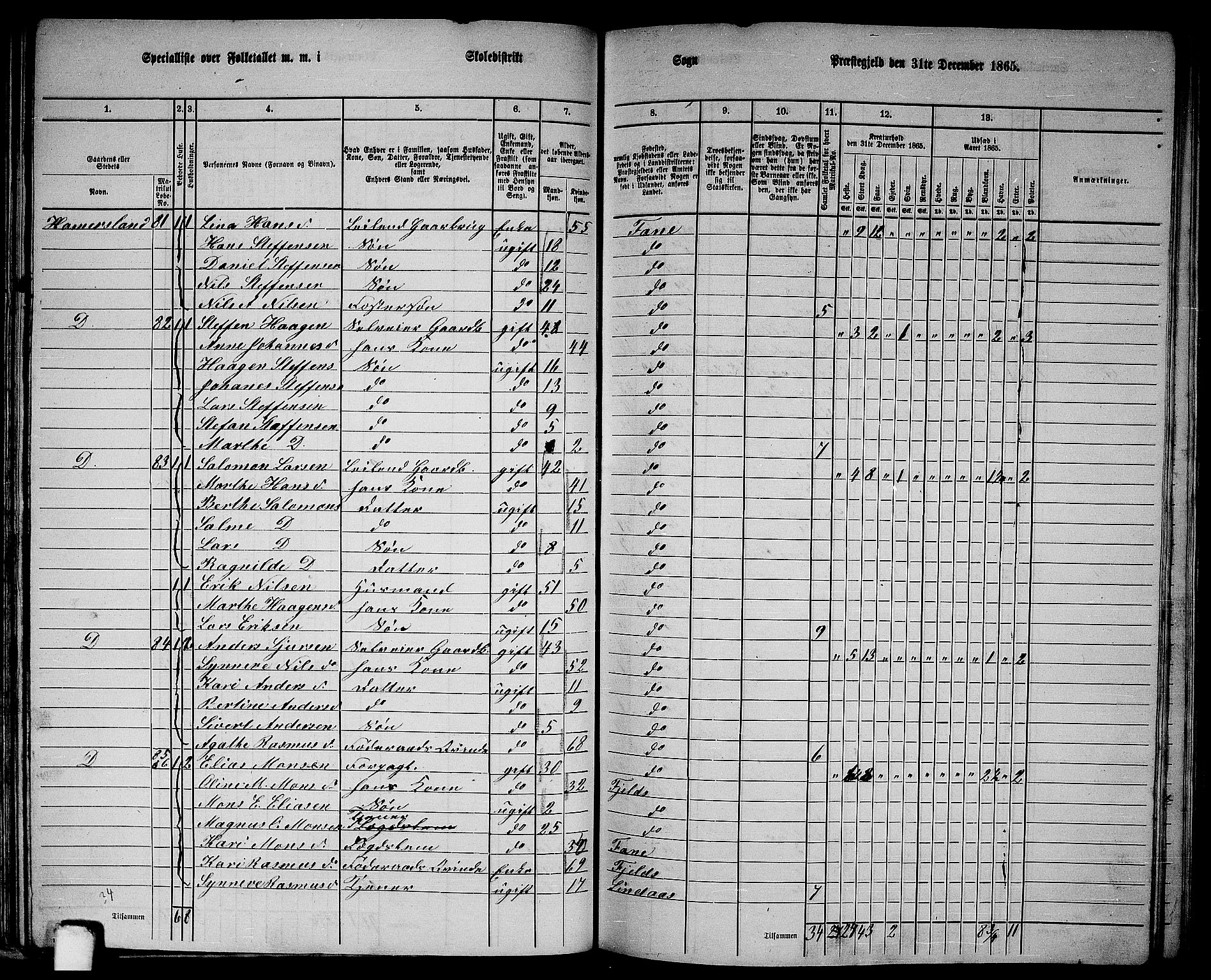 RA, 1865 census for Fana, 1865, p. 49