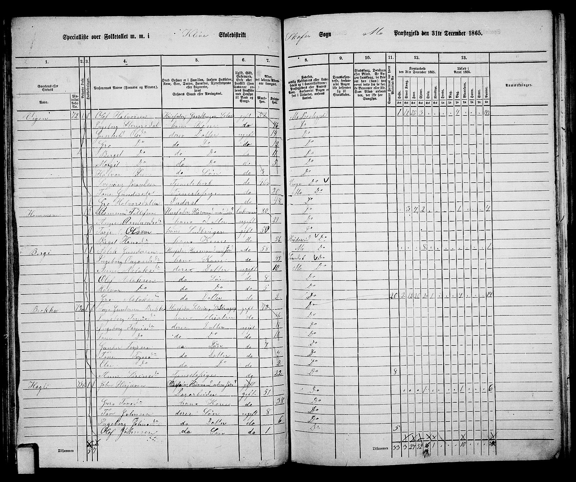 RA, 1865 census for Mo, 1865, p. 60