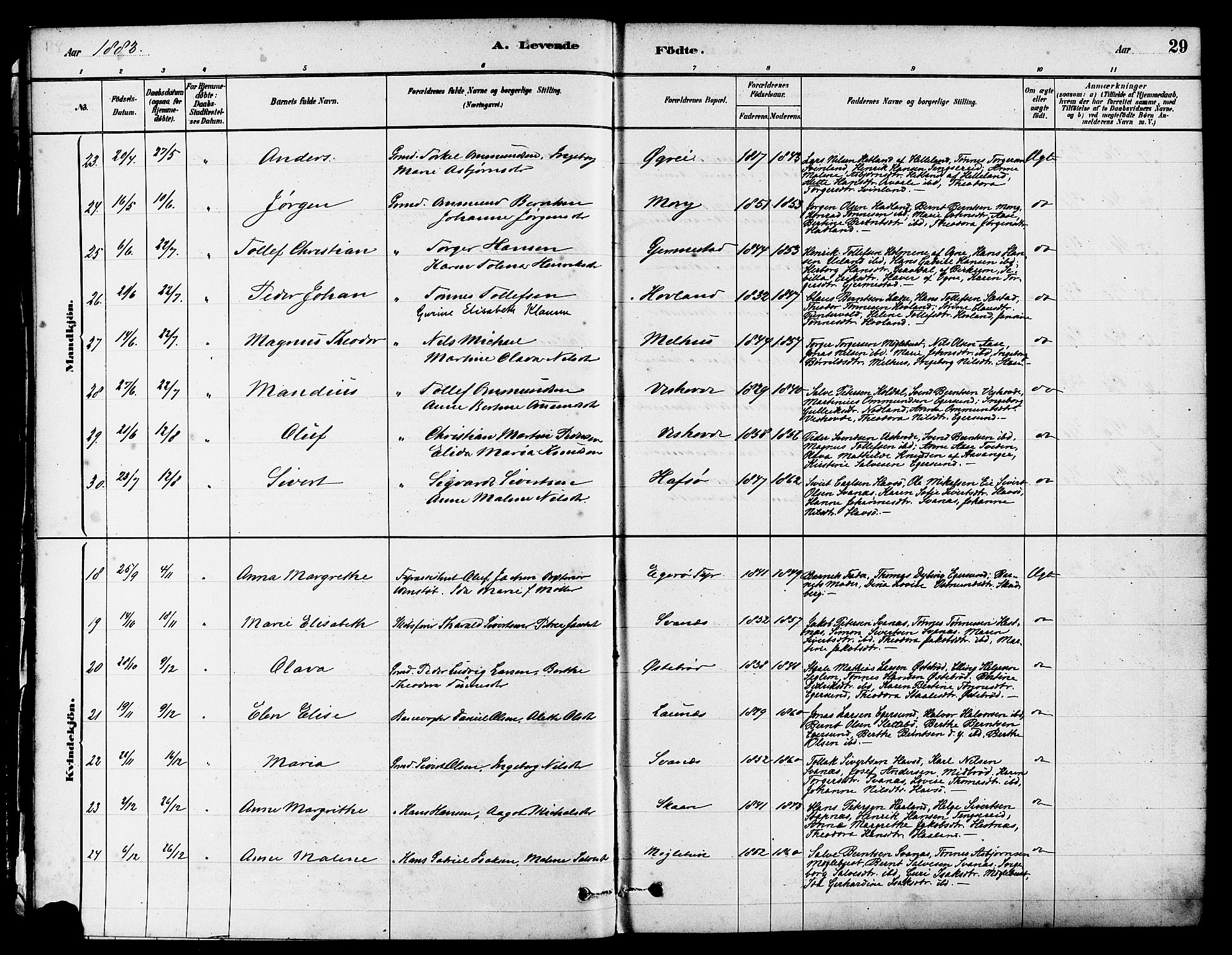 Eigersund sokneprestkontor, AV/SAST-A-101807/S08/L0017: Parish register (official) no. A 14, 1879-1892, p. 29