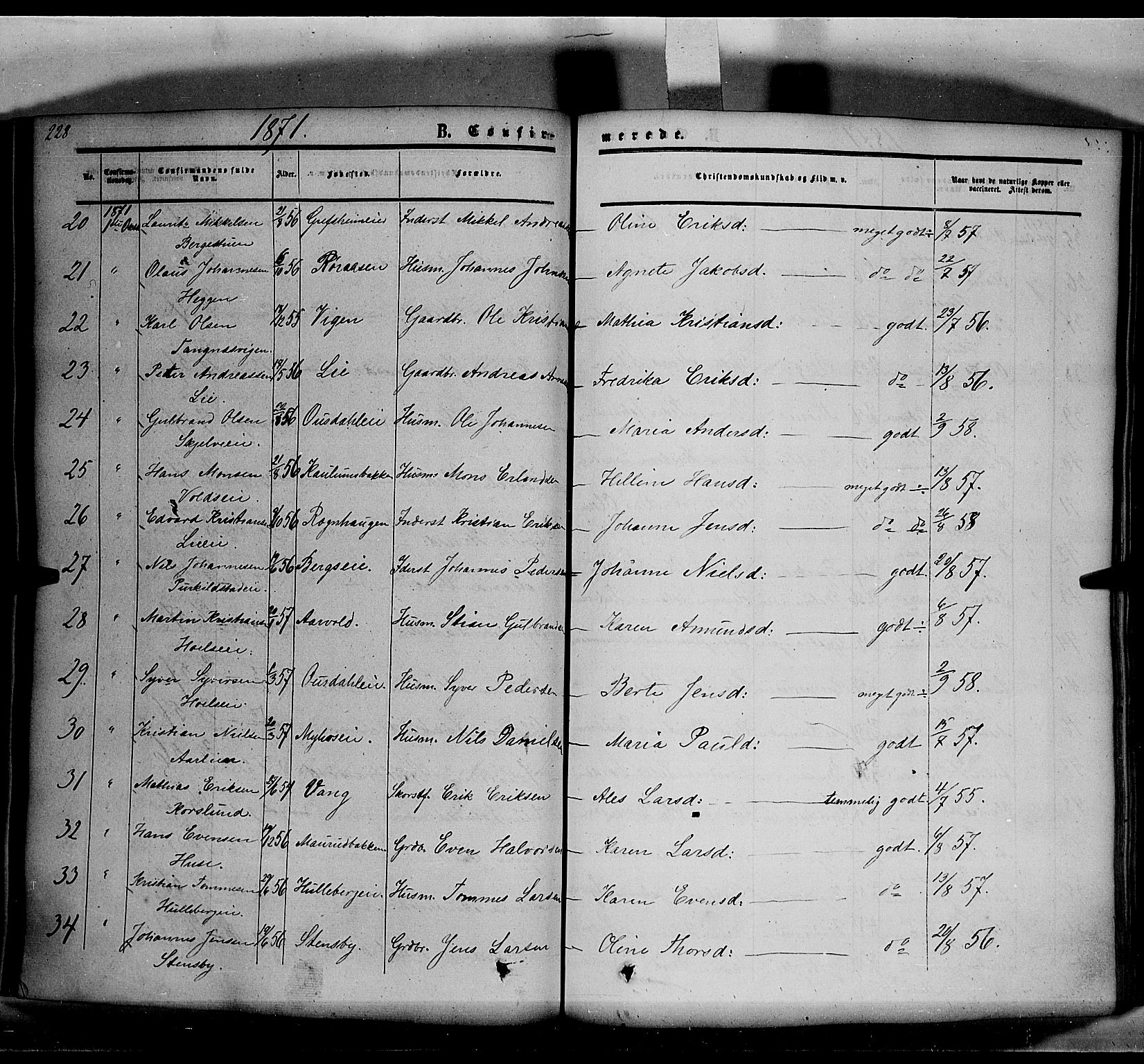 Nes prestekontor, Hedmark, AV/SAH-PREST-020/K/Ka/L0004: Parish register (official) no. 4, 1852-1886, p. 228