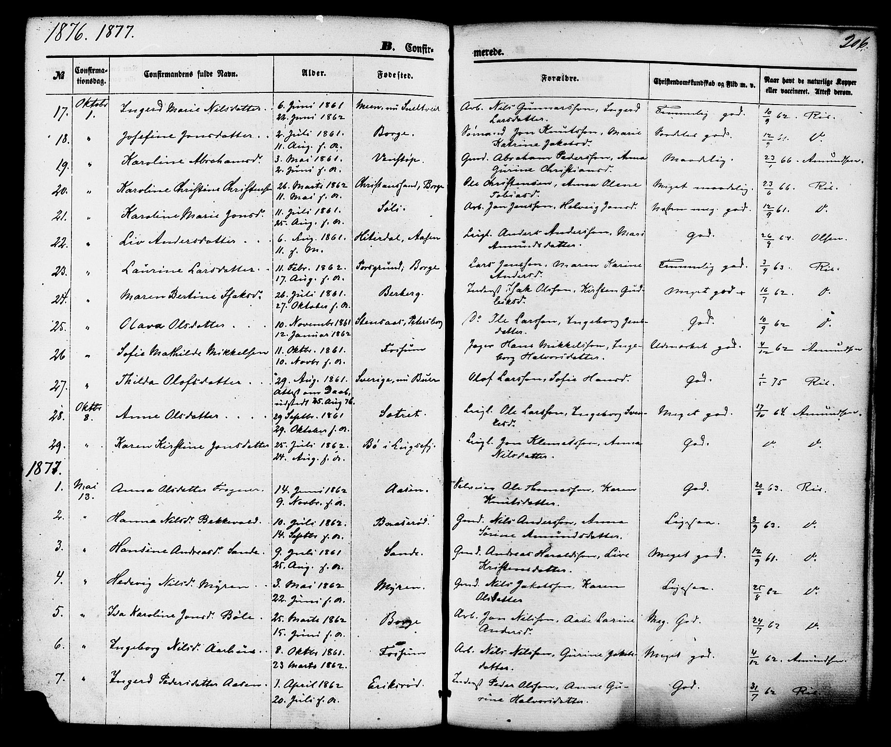 Gjerpen kirkebøker, SAKO/A-265/F/Fa/L0009: Parish register (official) no. I 9, 1872-1885, p. 206
