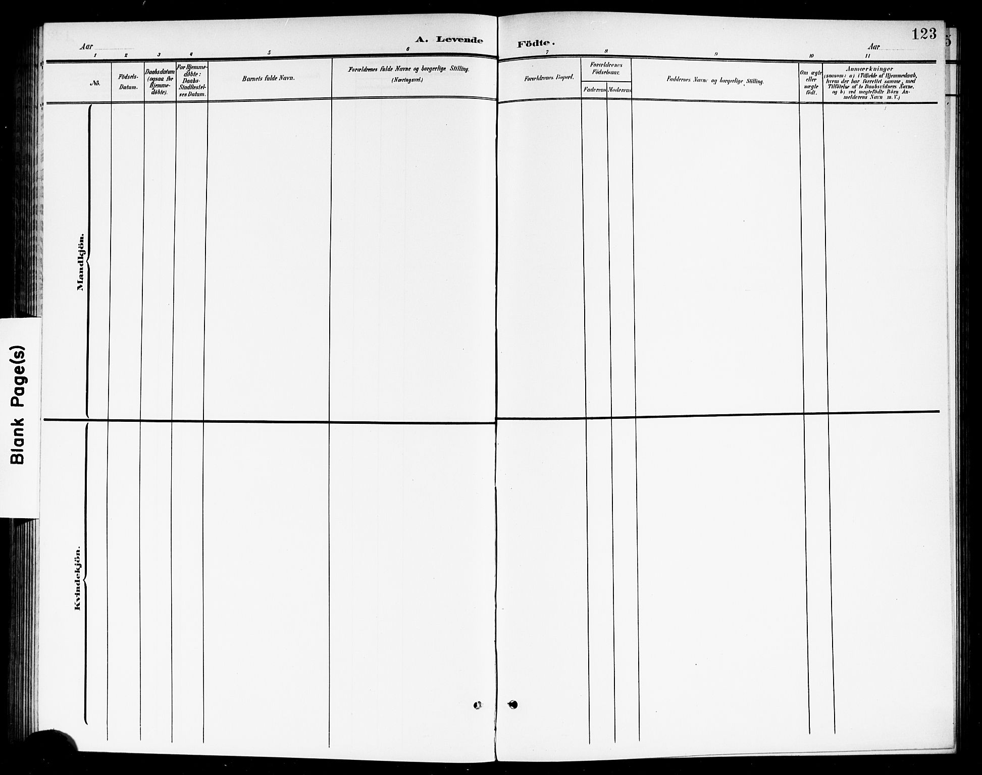Høland prestekontor Kirkebøker, SAO/A-10346a/G/Ga/L0007: Parish register (copy) no. I 7, 1902-1914, p. 123