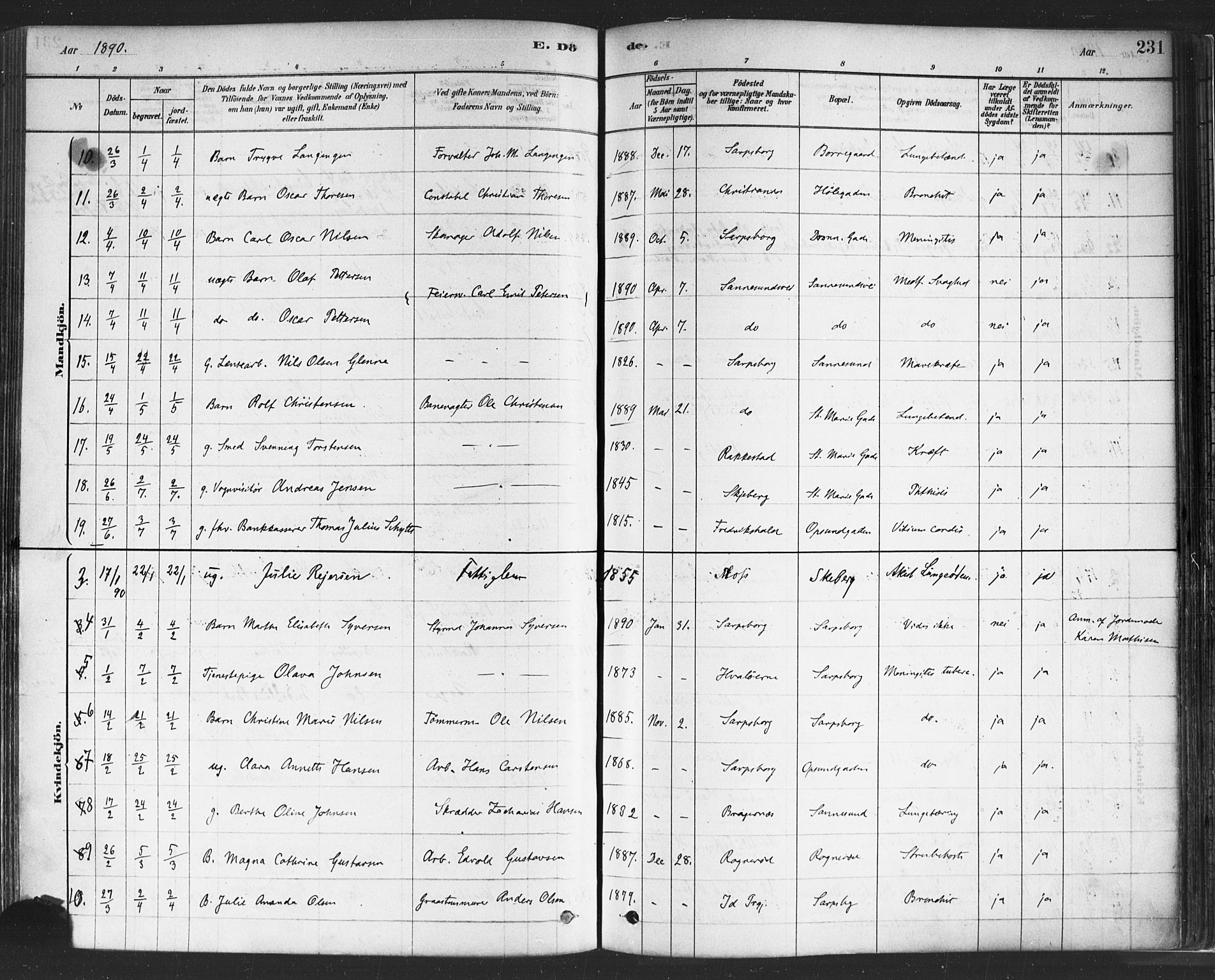 Sarpsborg prestekontor Kirkebøker, AV/SAO-A-2006/F/Fa/L0003: Parish register (official) no. 3, 1878-1891, p. 231