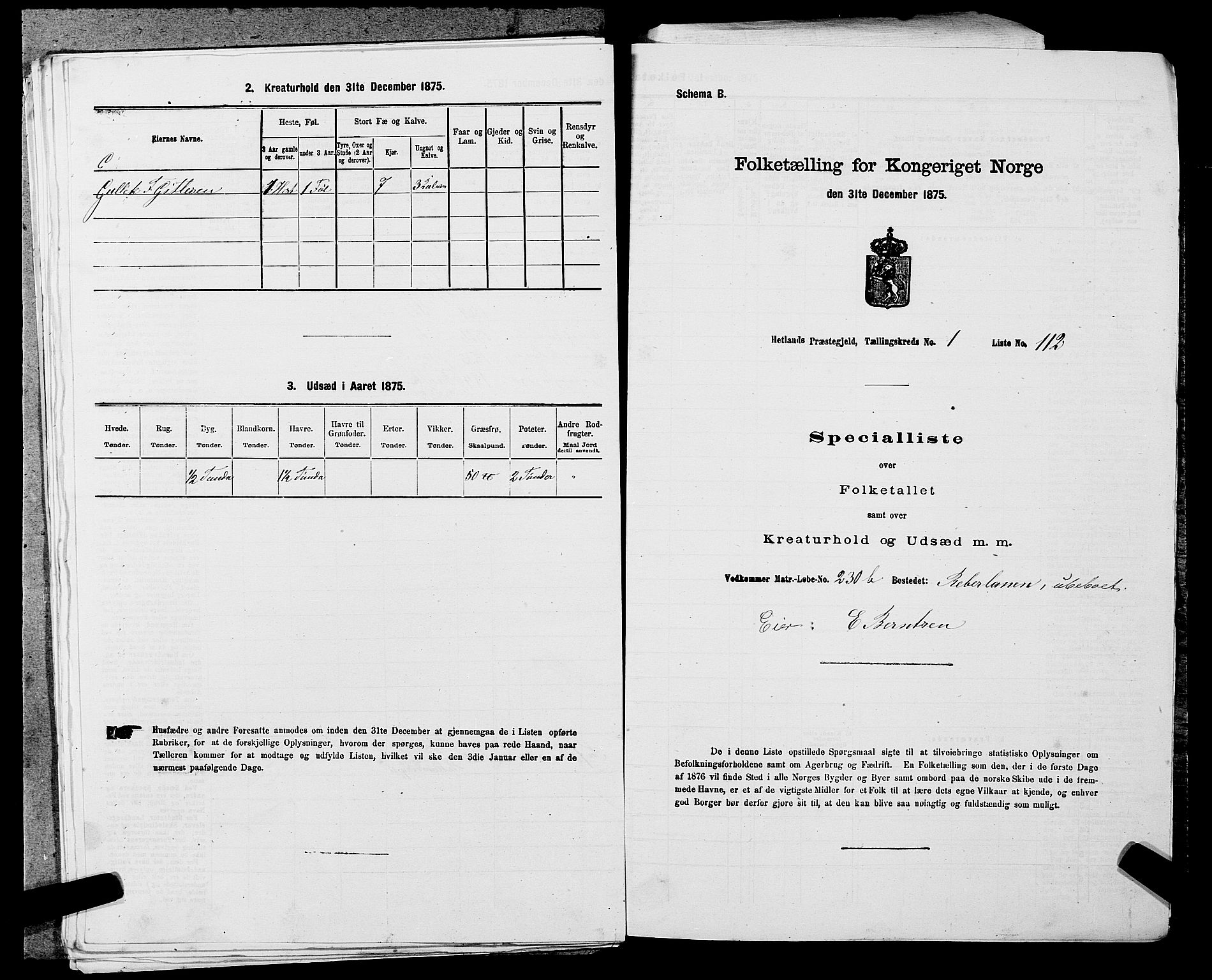 SAST, 1875 census for 1126P Hetland, 1875, p. 316