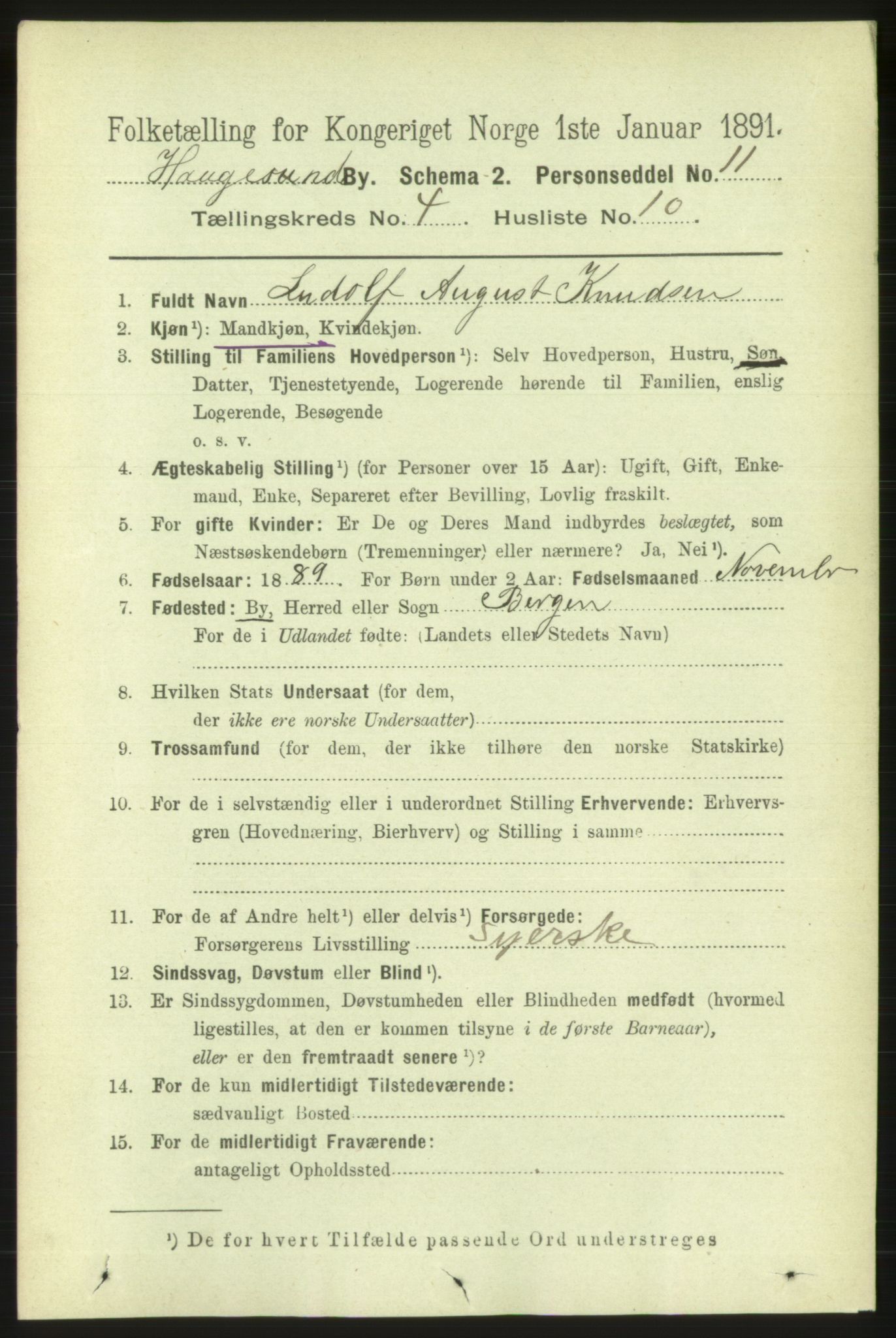 RA, 1891 census for 1106 Haugesund, 1891, p. 1266