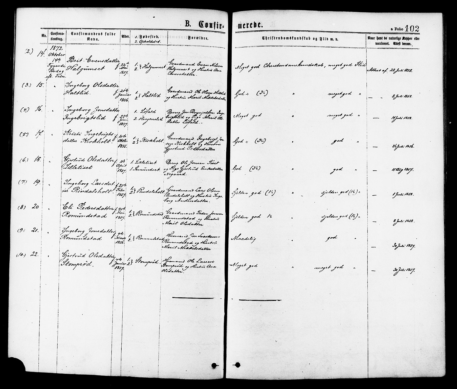 Ministerialprotokoller, klokkerbøker og fødselsregistre - Møre og Romsdal, AV/SAT-A-1454/598/L1068: Parish register (official) no. 598A02, 1872-1881, p. 102