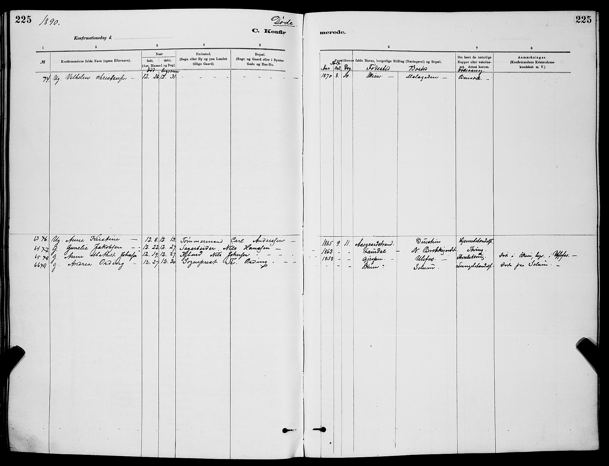 Skien kirkebøker, SAKO/A-302/G/Ga/L0006: Parish register (copy) no. 6, 1881-1890, p. 225