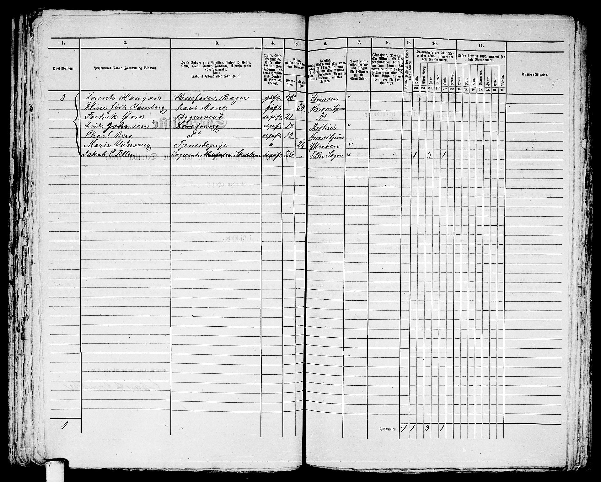 RA, 1865 census for Trondheim, 1865, p. 2378