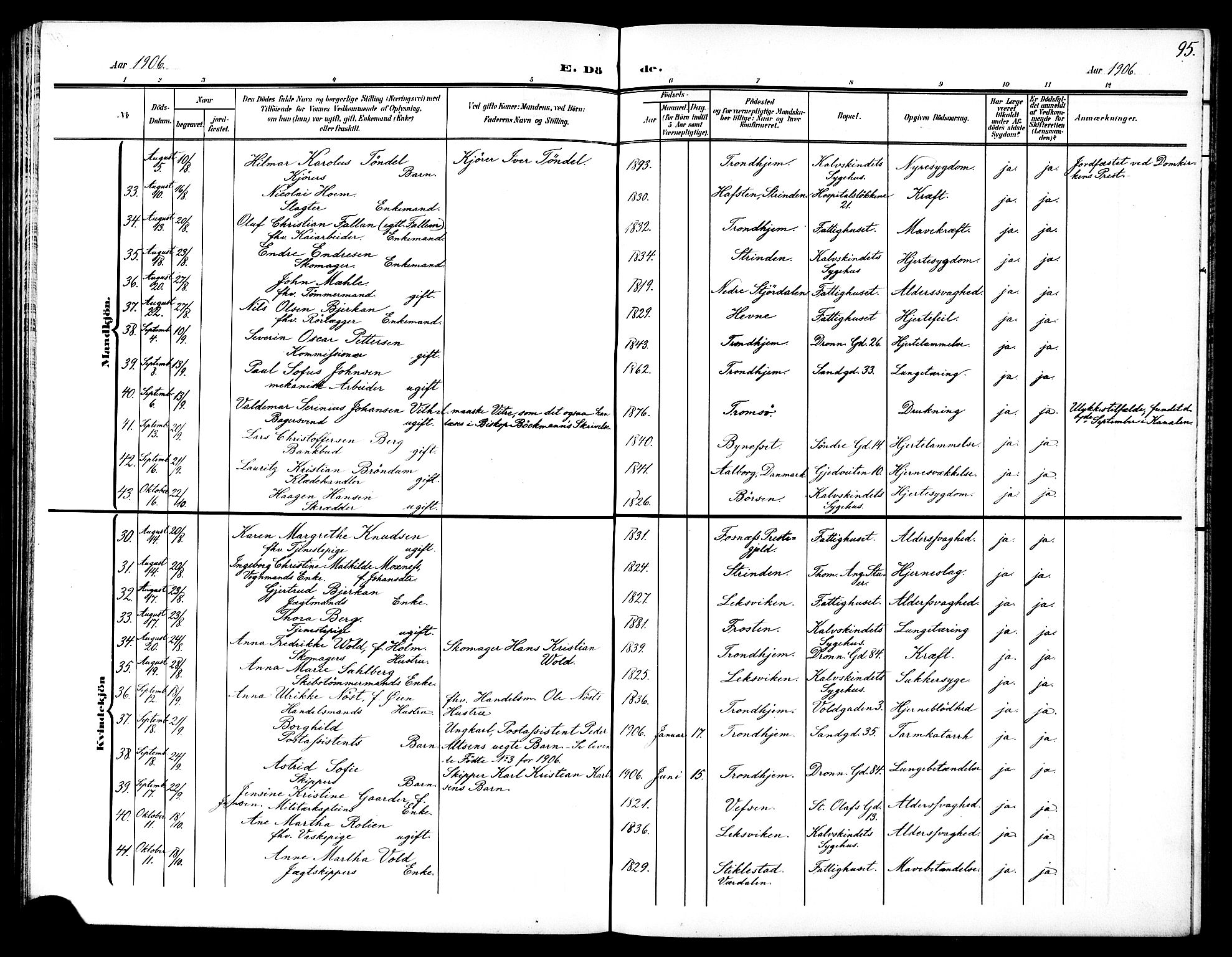 Ministerialprotokoller, klokkerbøker og fødselsregistre - Sør-Trøndelag, SAT/A-1456/602/L0146: Parish register (copy) no. 602C14, 1904-1914, p. 95