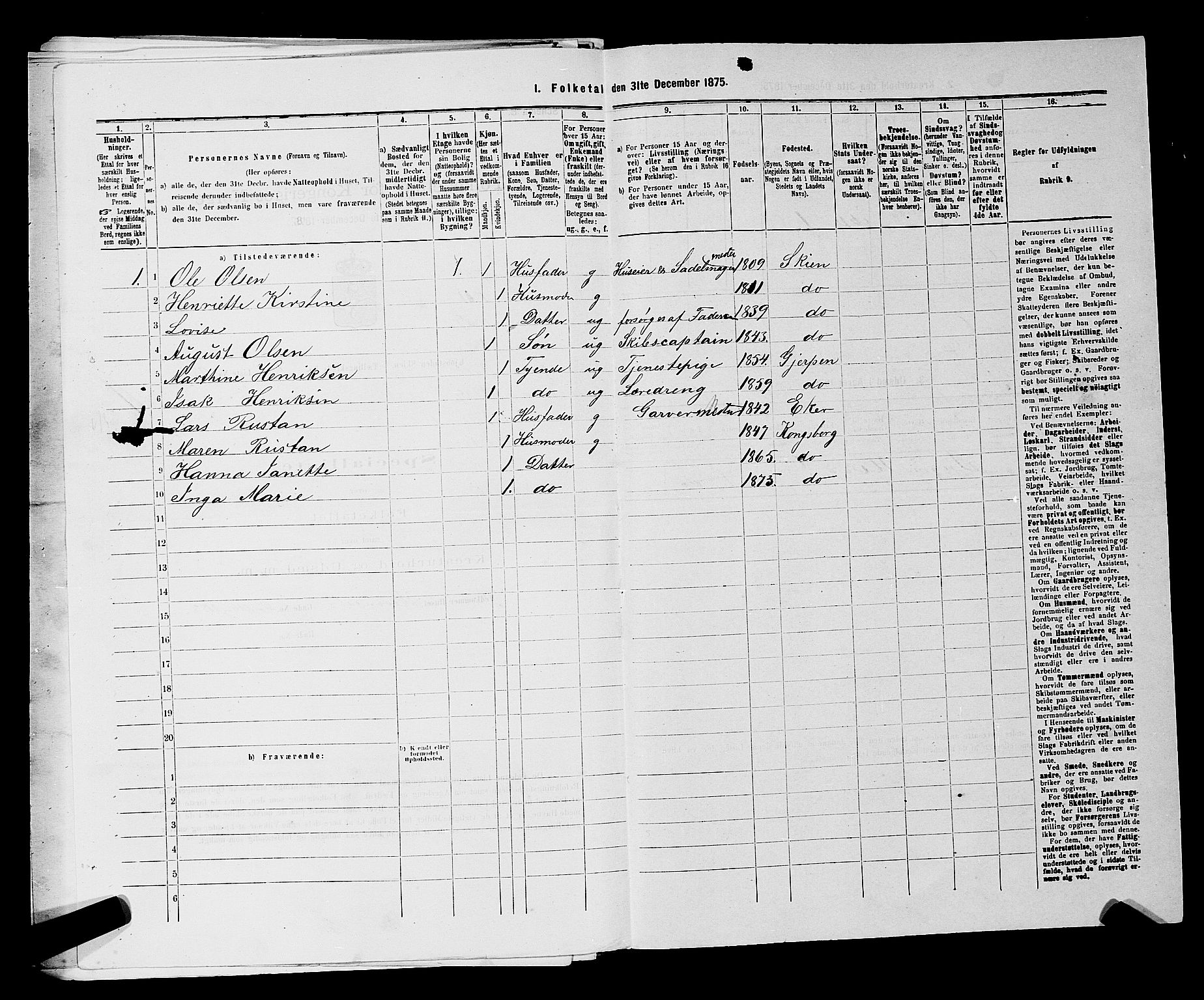 SAKO, 1875 census for 0806P Skien, 1875, p. 245