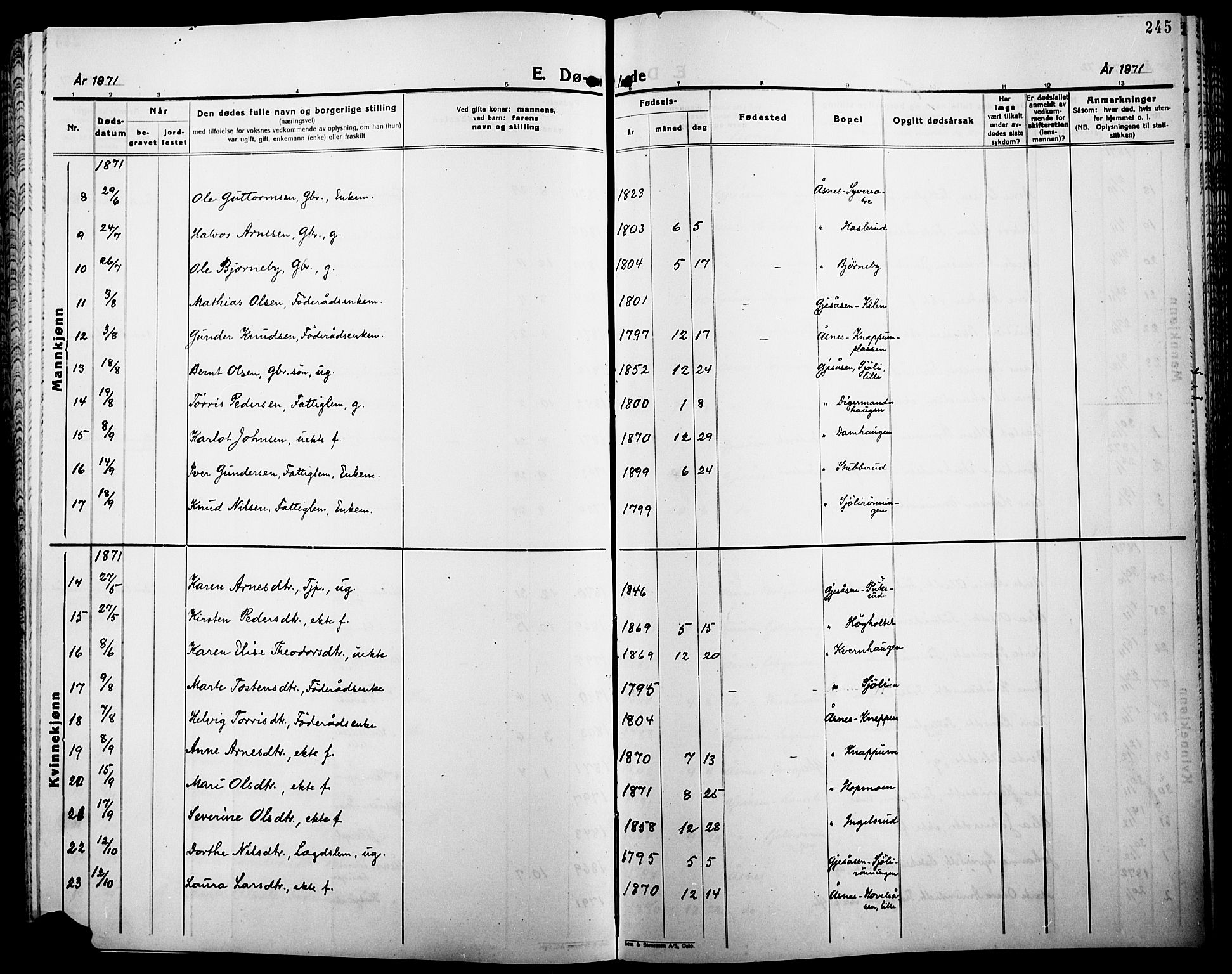 Åsnes prestekontor, AV/SAH-PREST-042/H/Ha/Haa/L0000B: Parish register (official), 1870-1889, p. 245