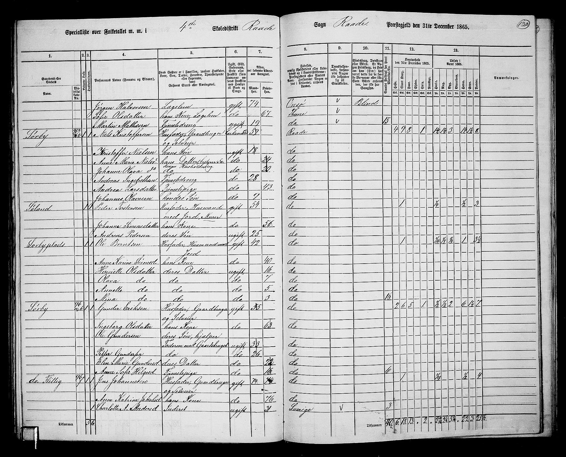 RA, 1865 census for Råde, 1865, p. 107