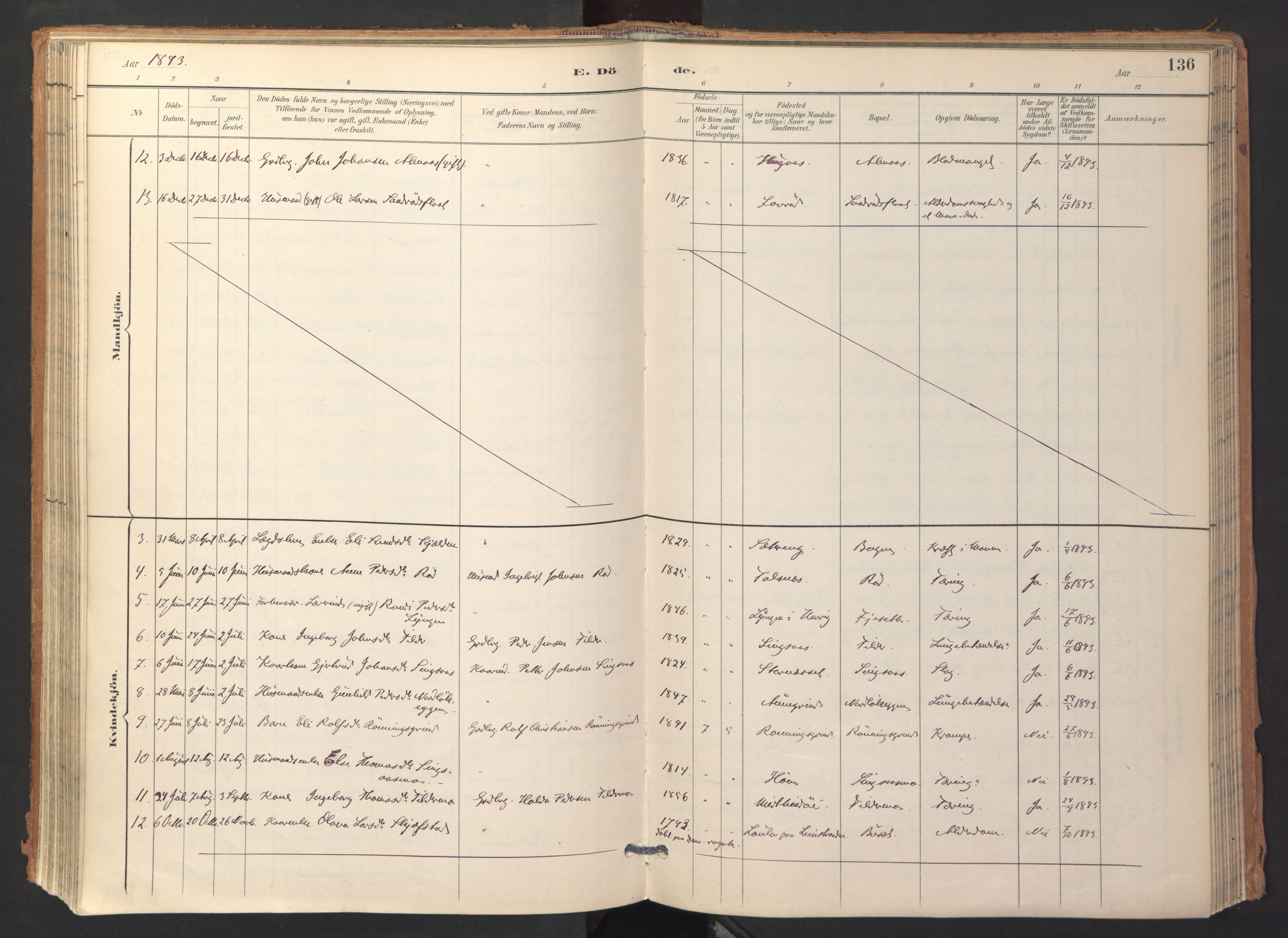 Ministerialprotokoller, klokkerbøker og fødselsregistre - Sør-Trøndelag, AV/SAT-A-1456/688/L1025: Parish register (official) no. 688A02, 1891-1909, p. 136