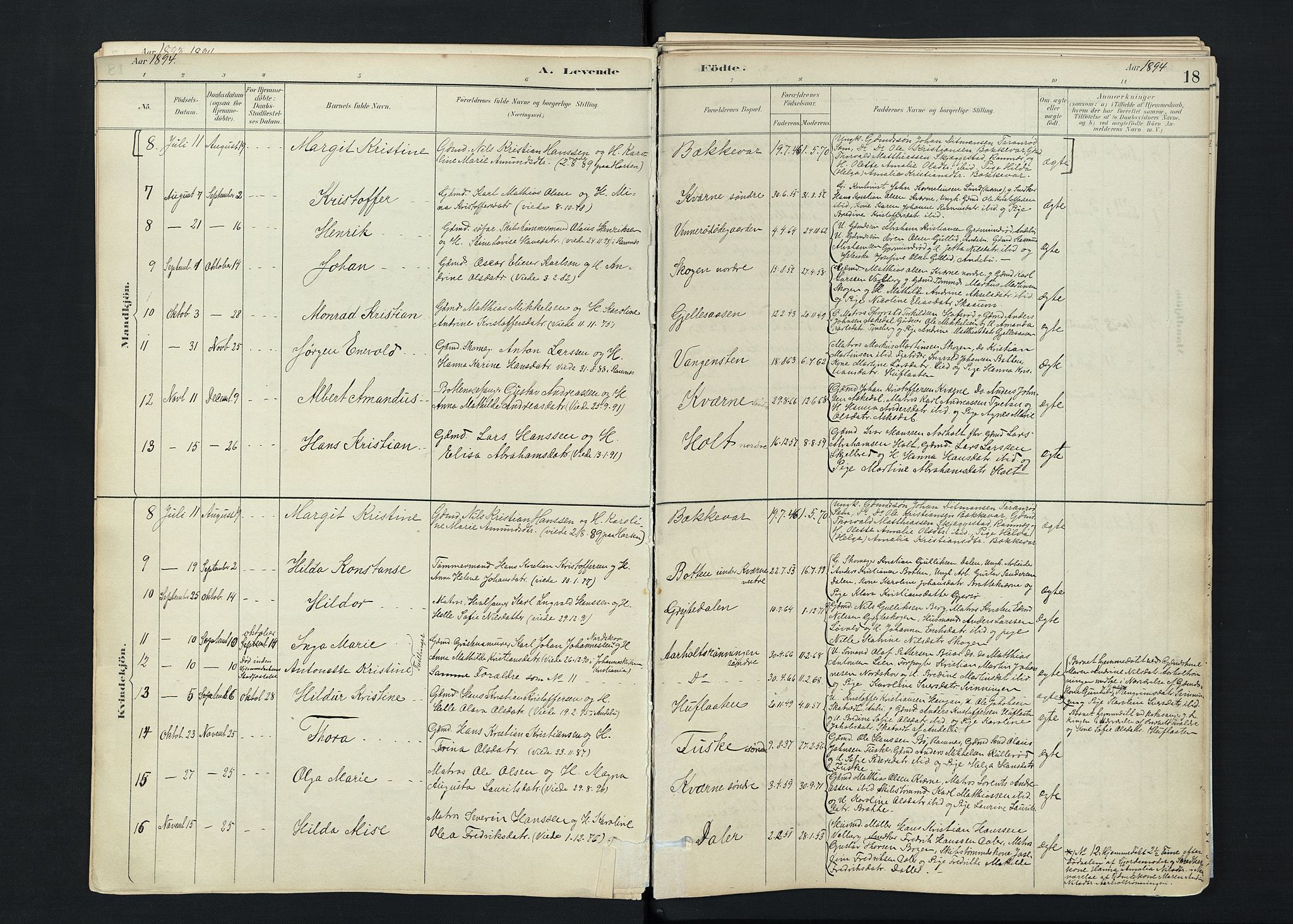 Stokke kirkebøker, SAKO/A-320/F/Fc/L0001: Parish register (official) no. III 1, 1884-1910, p. 18