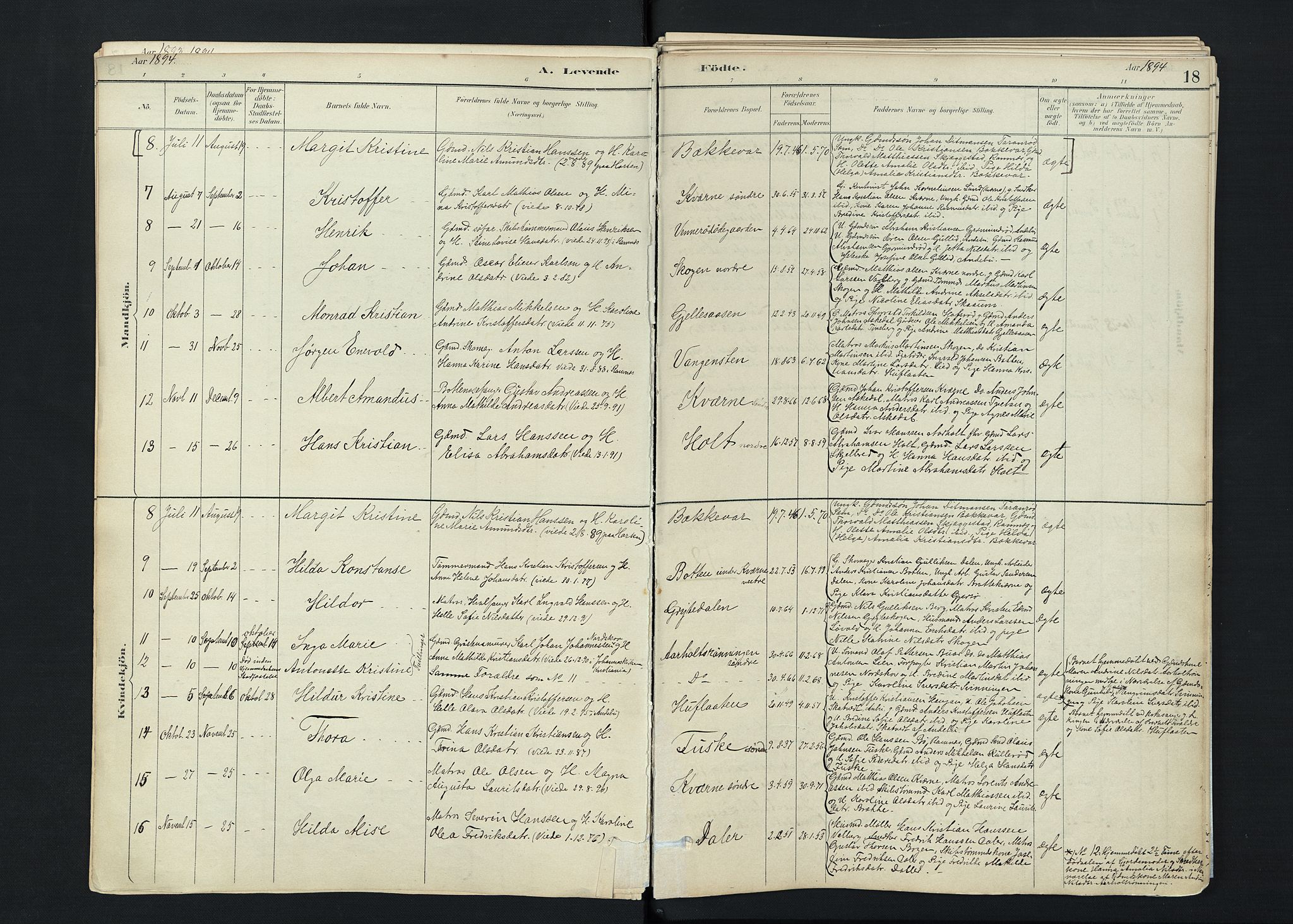 Stokke kirkebøker, AV/SAKO-A-320/F/Fc/L0001: Parish register (official) no. III 1, 1884-1910, p. 18