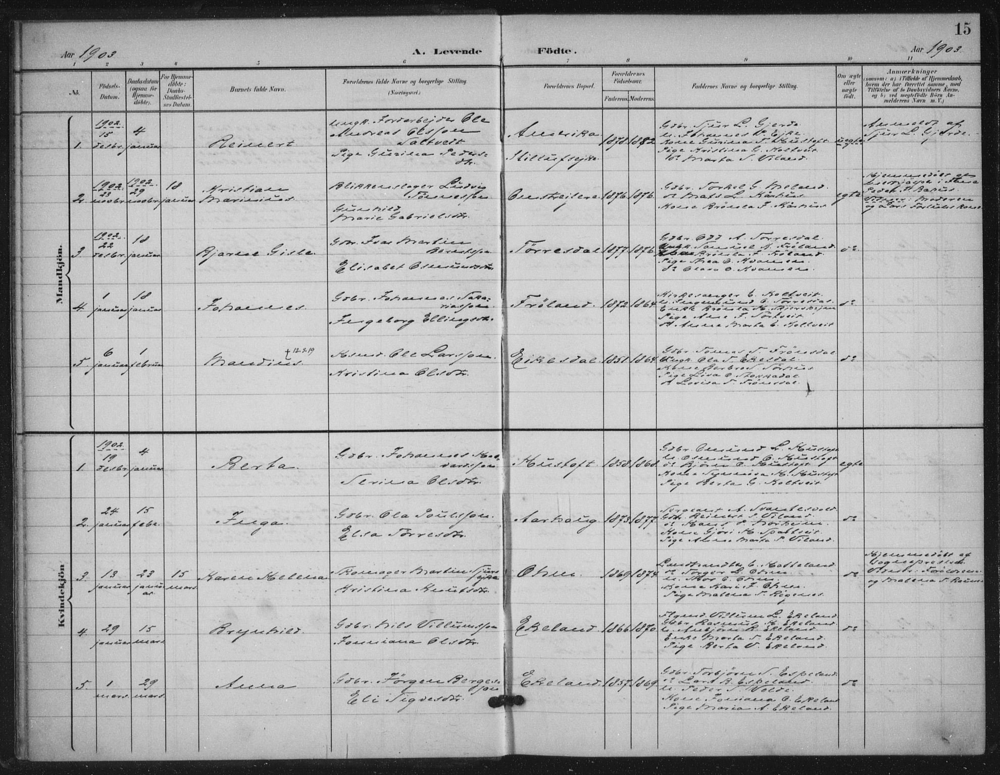 Skjold sokneprestkontor, AV/SAST-A-101847/H/Ha/Haa/L0012: Parish register (official) no. A 12, 1899-1915, p. 15